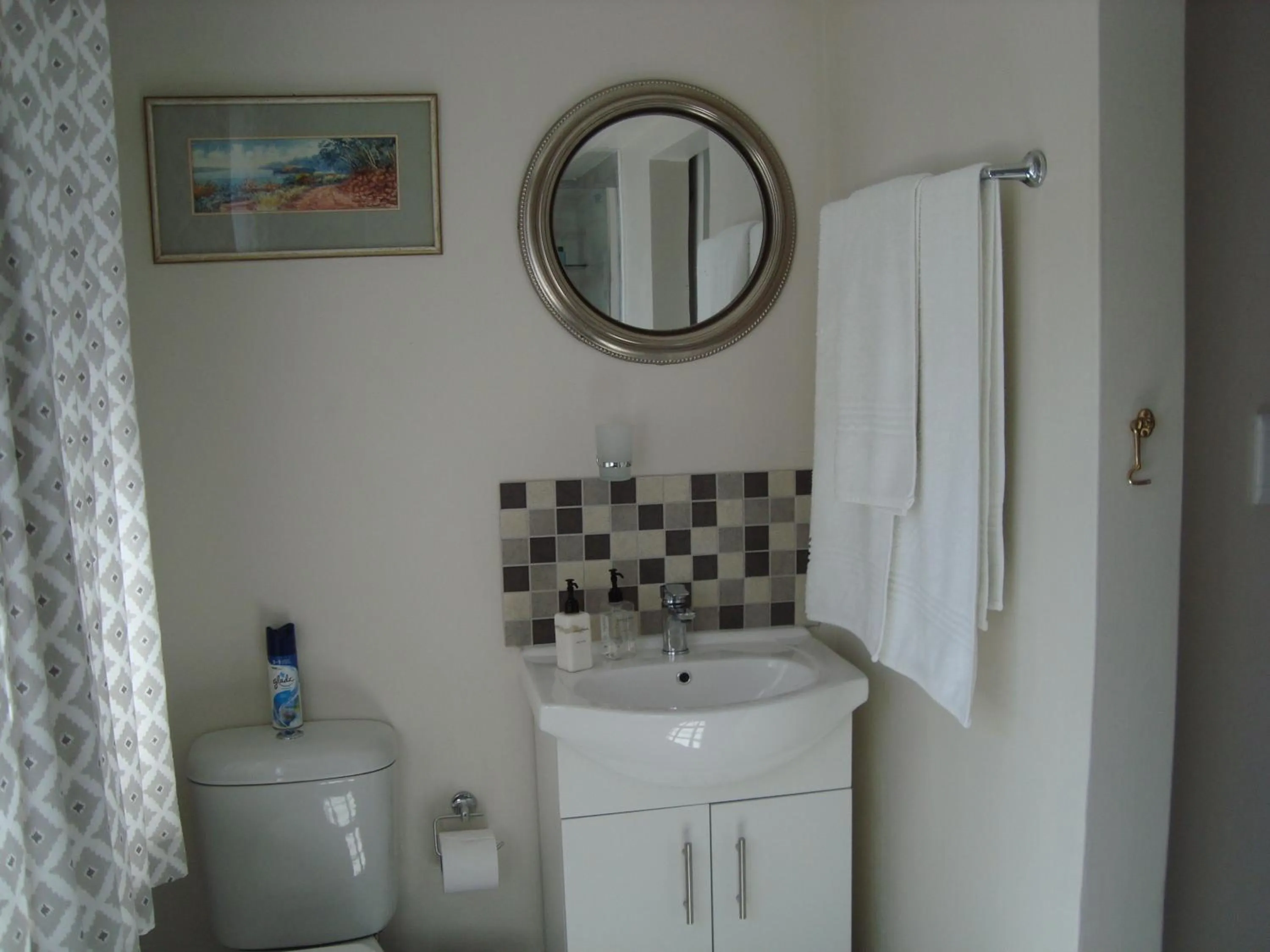 Bathroom in brookdale house