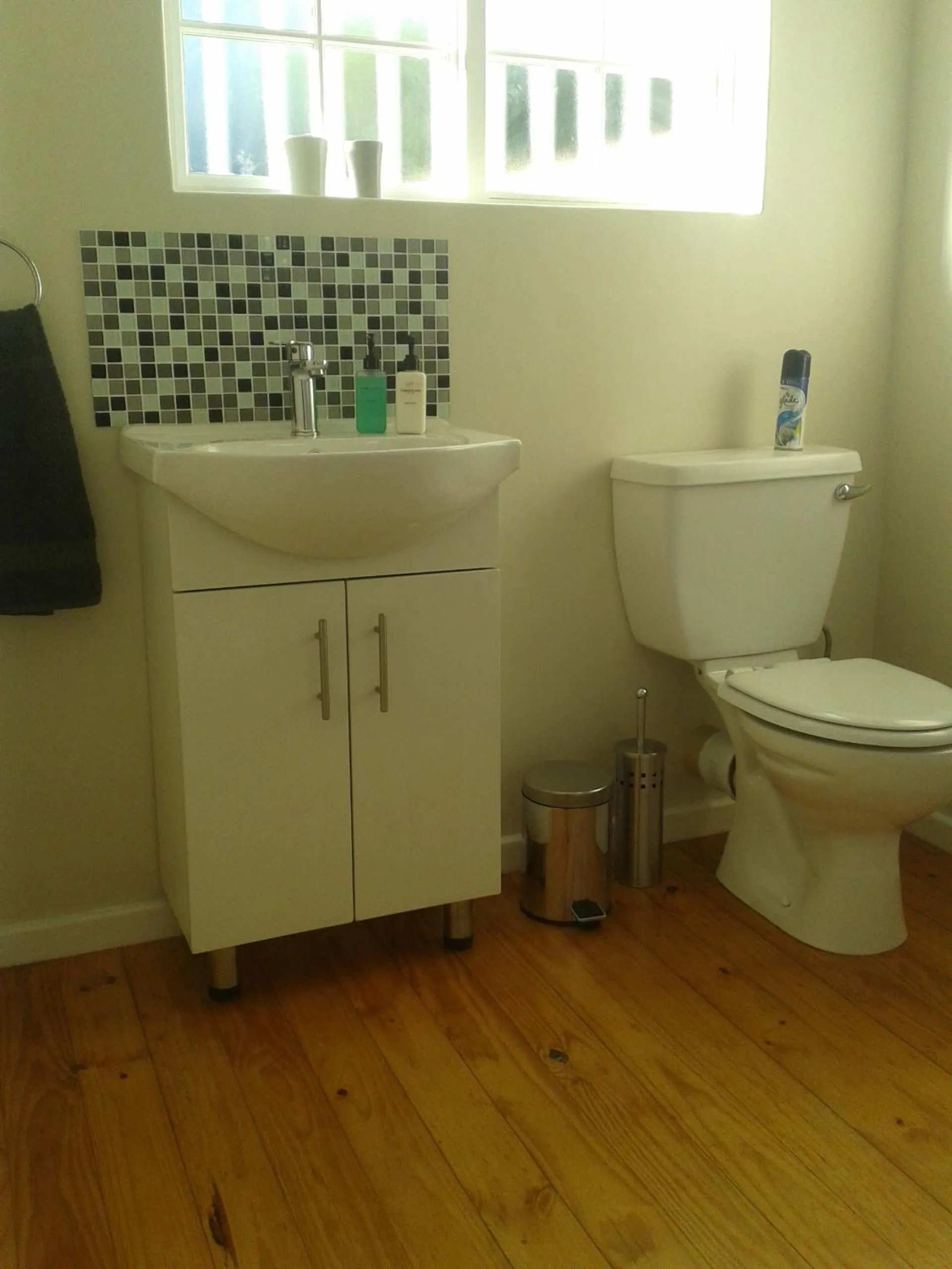 Bathroom in brookdale house