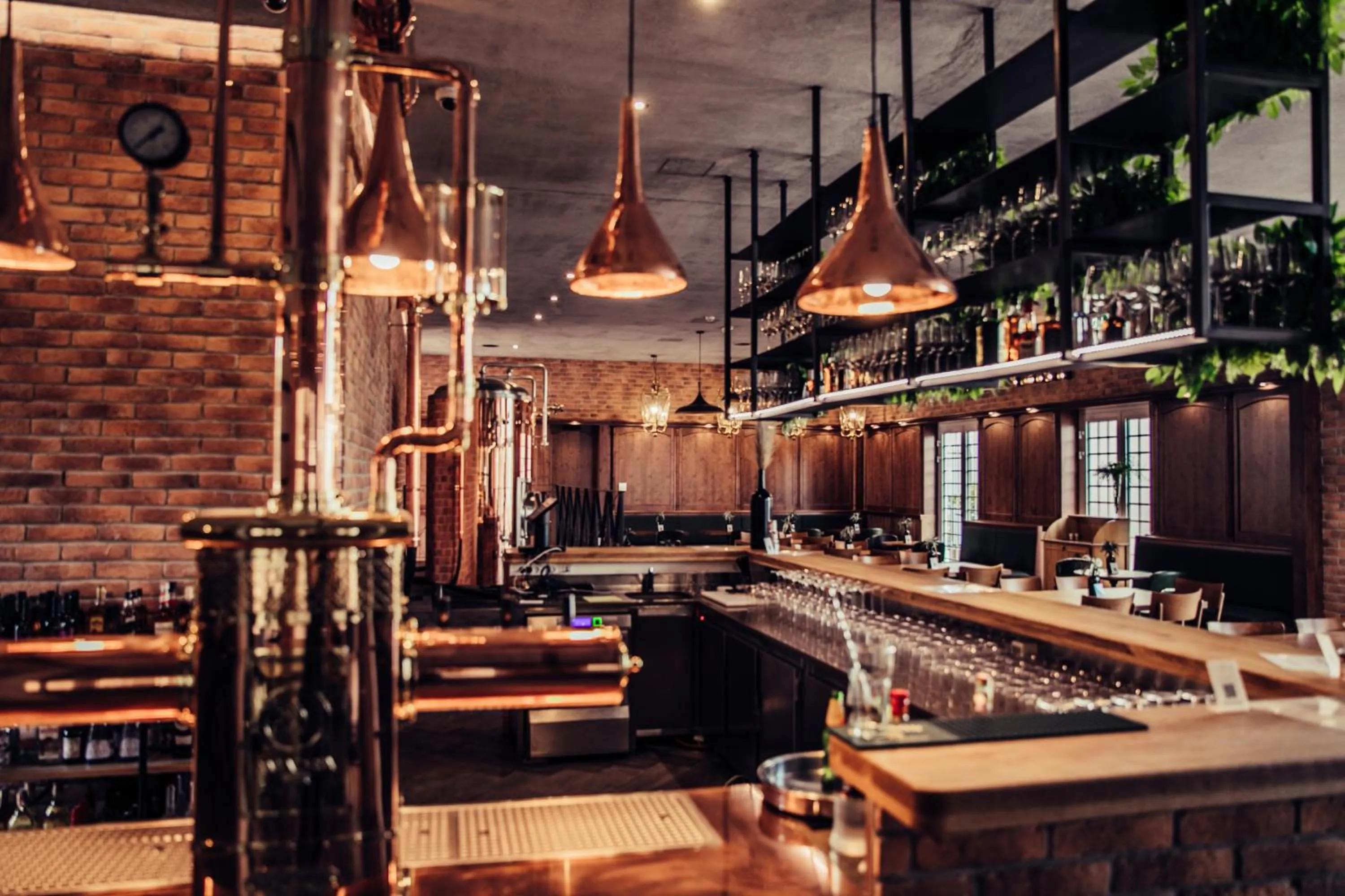 Lounge or bar in Amadria Park Beach Hotel Jure