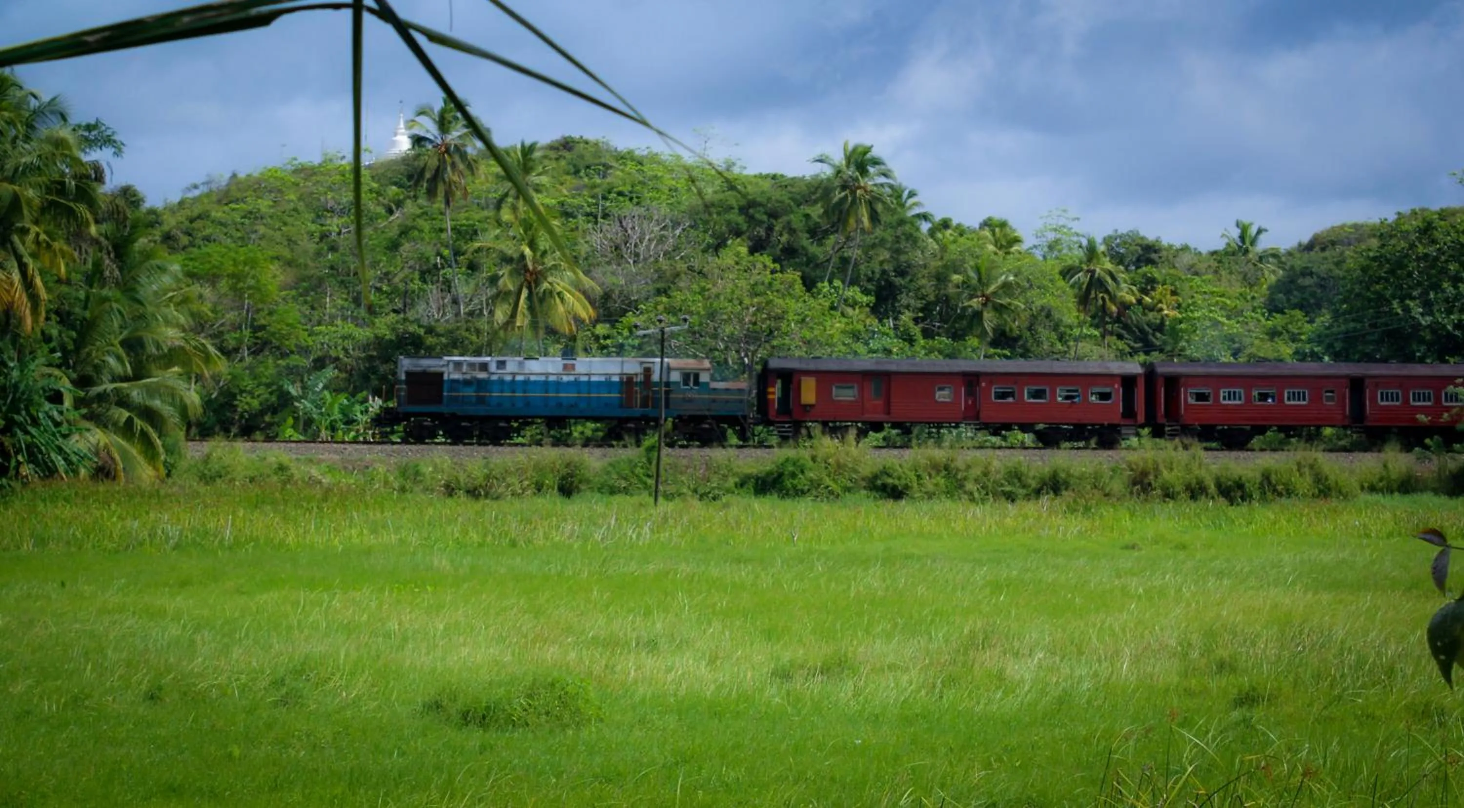 Natural landscape in Paddy Field View Resort