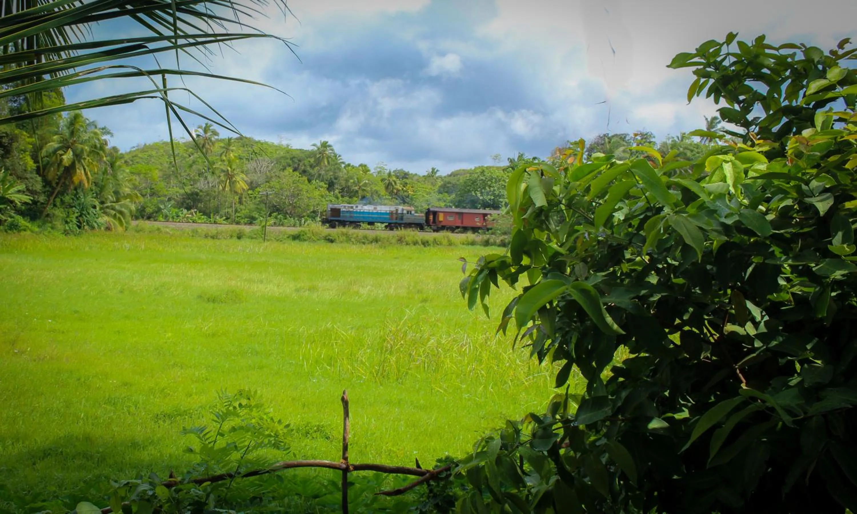 View (from property/room) in Paddy Field View Resort