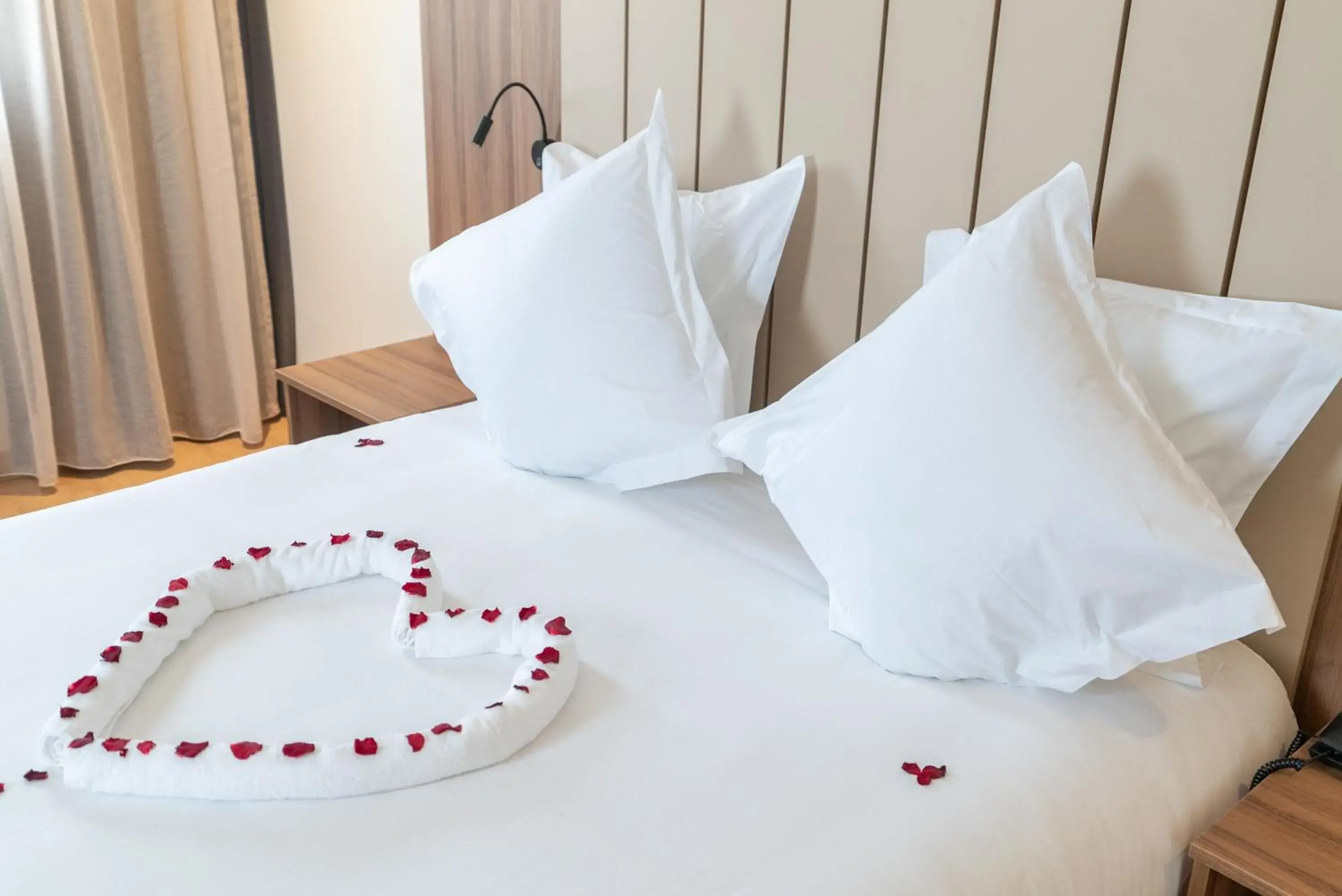 Single Room in Imperial Boutique Hotel Rabat Single Room in Imperial Boutique Hotel Rabat