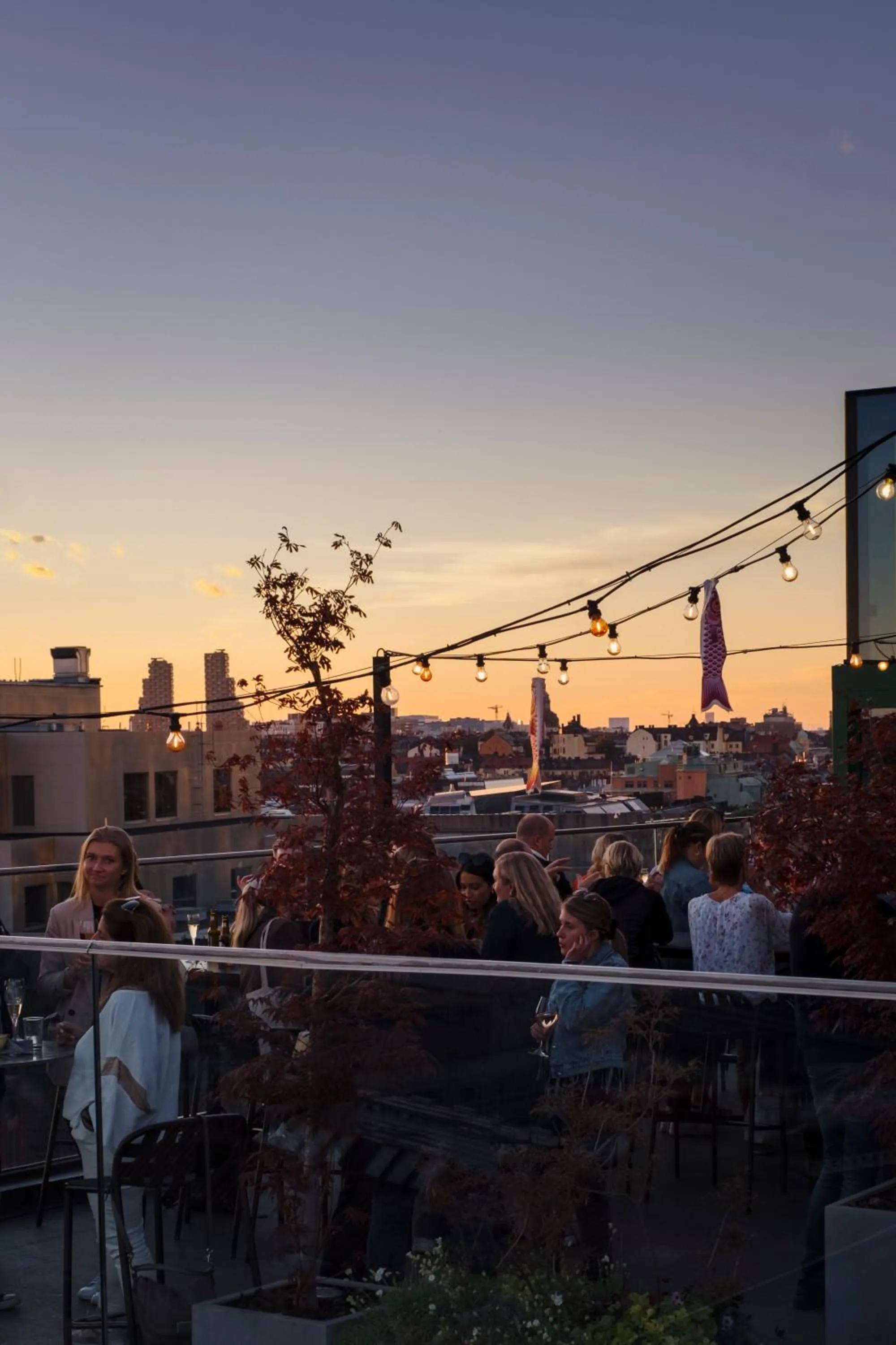 View (from property/room) in Hobo Hotel Stockholm