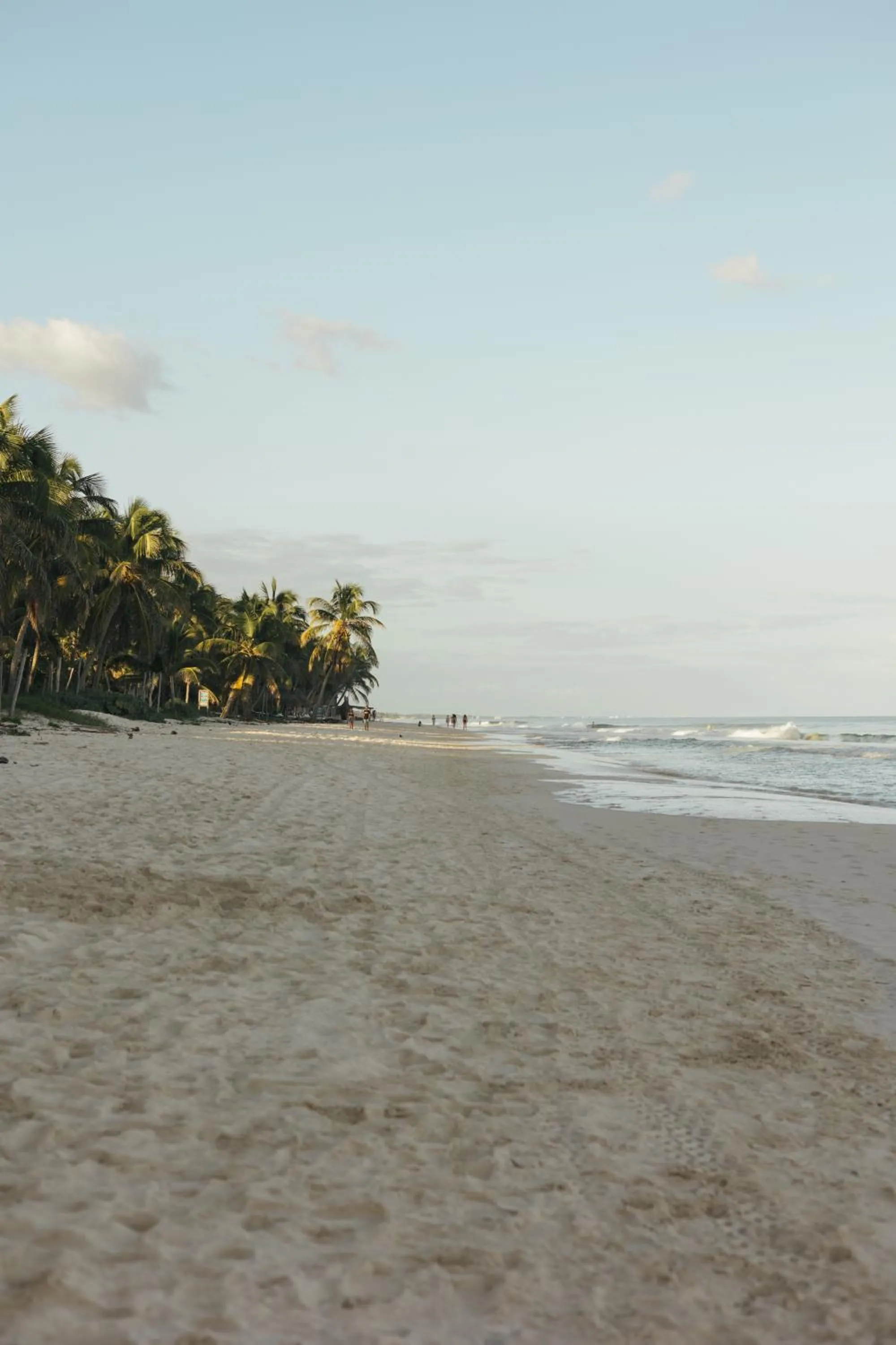 Beach in Chiringuito Tulum