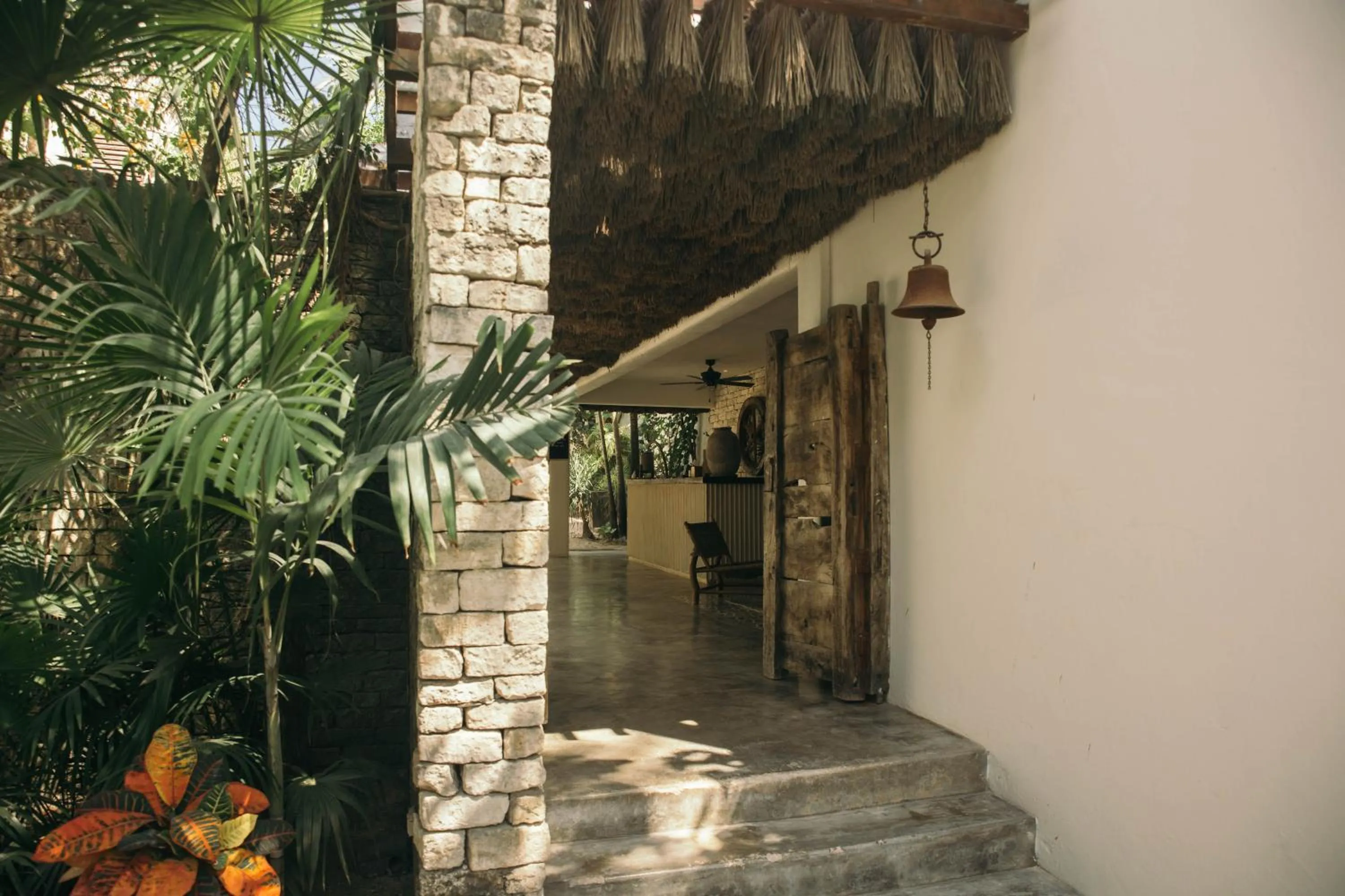 Property building in Chiringuito Tulum