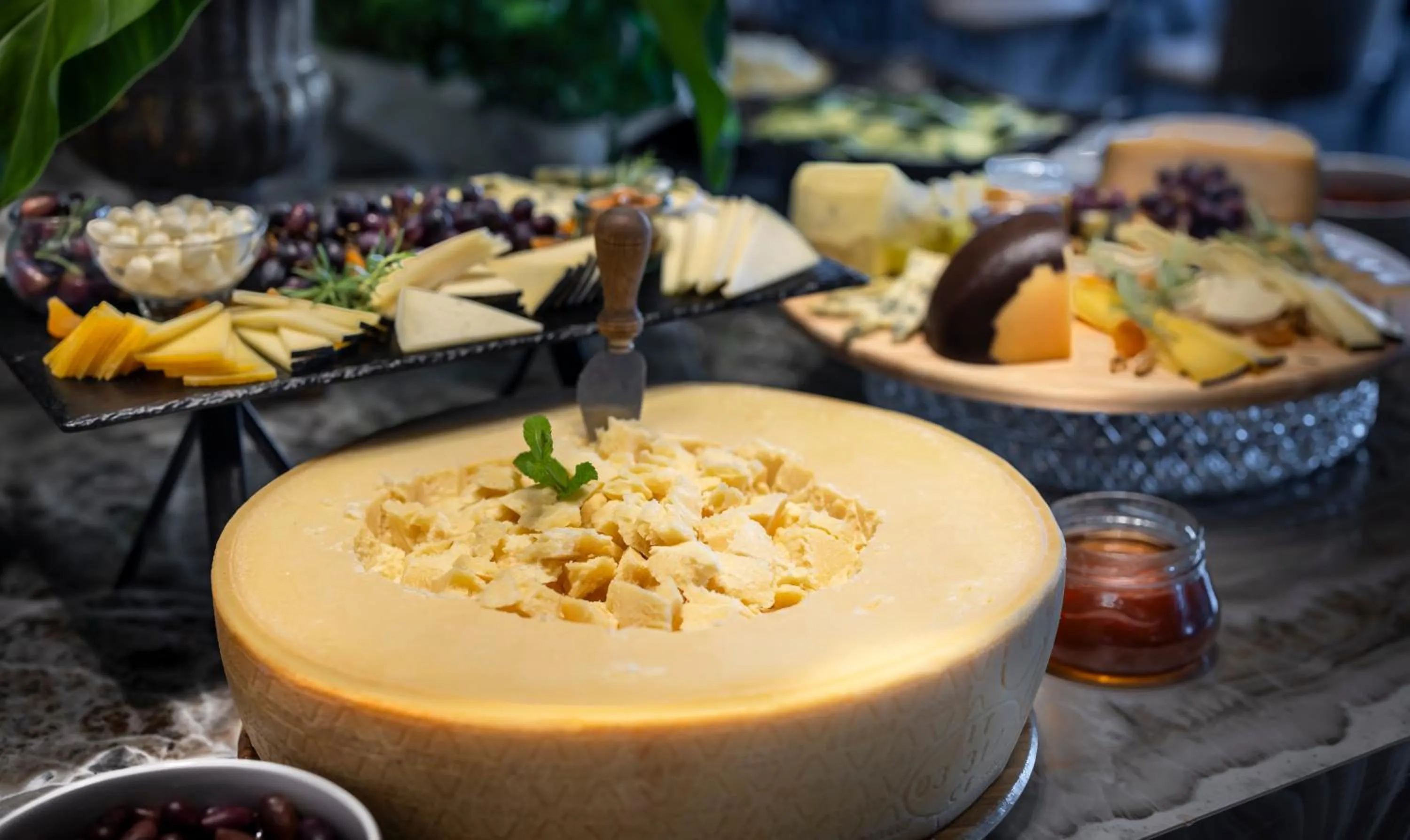 Restaurant/places to eat in Grand Hotel Adriatic