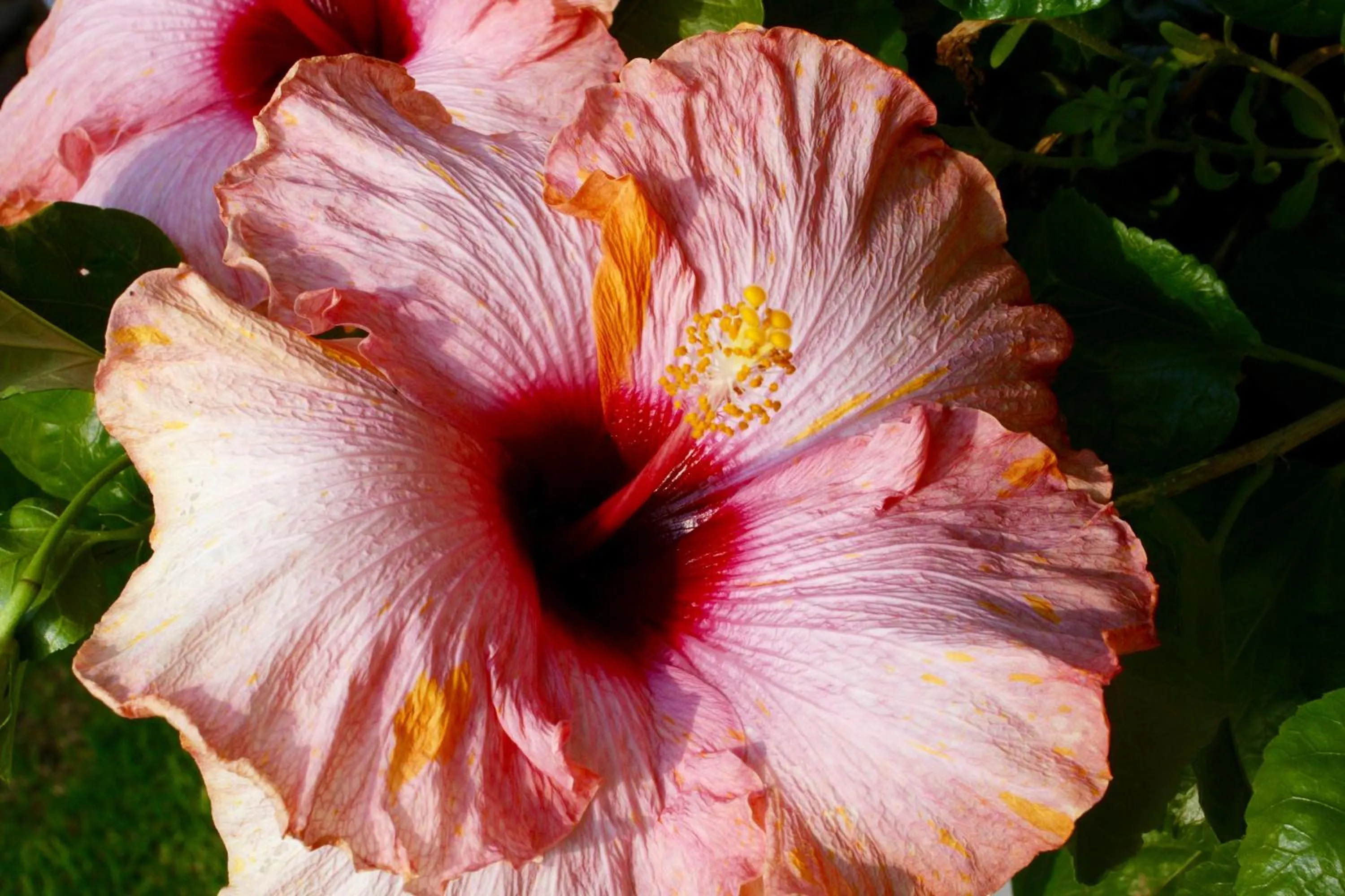 Decorative detail in Jolani Guest House