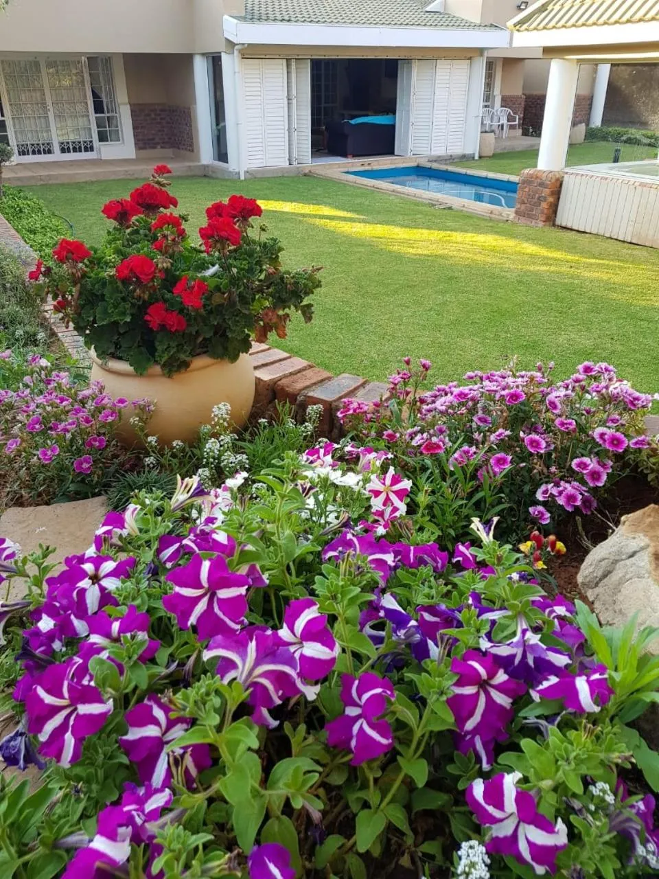 Summer in Jolani Guest House