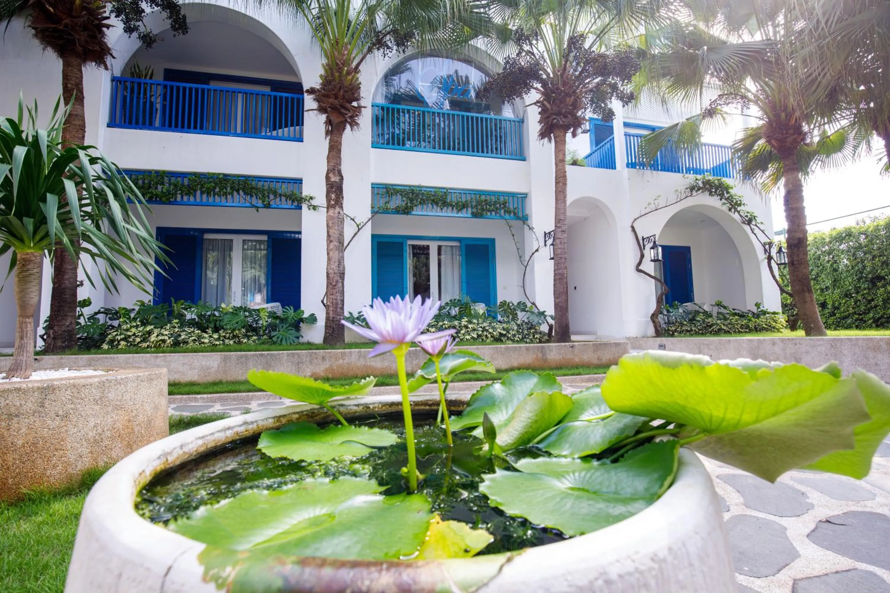 Spring in Risemount Premier Resort Da Nang