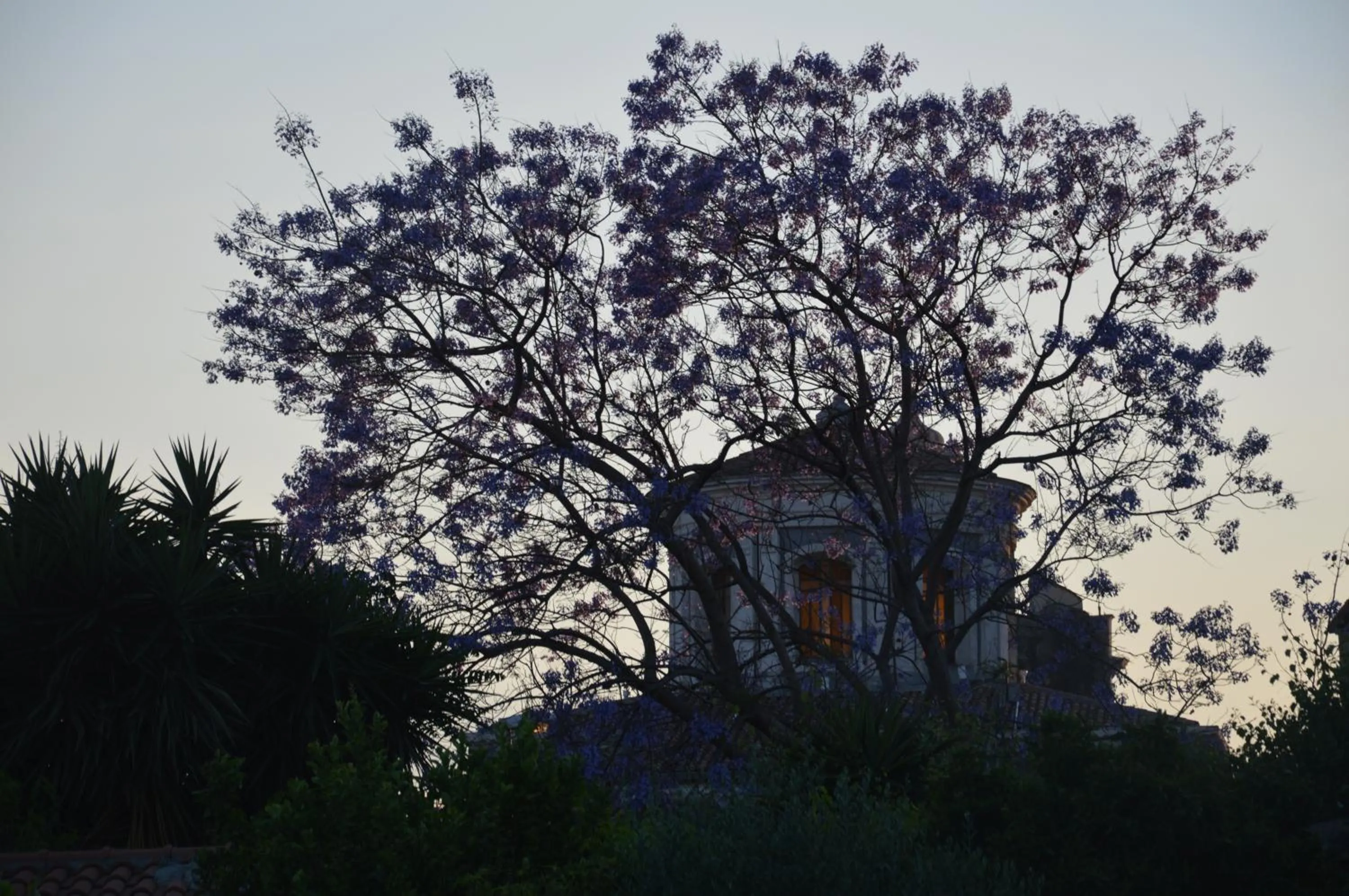 Neighbourhood in B&B Vicolo del Chiostro