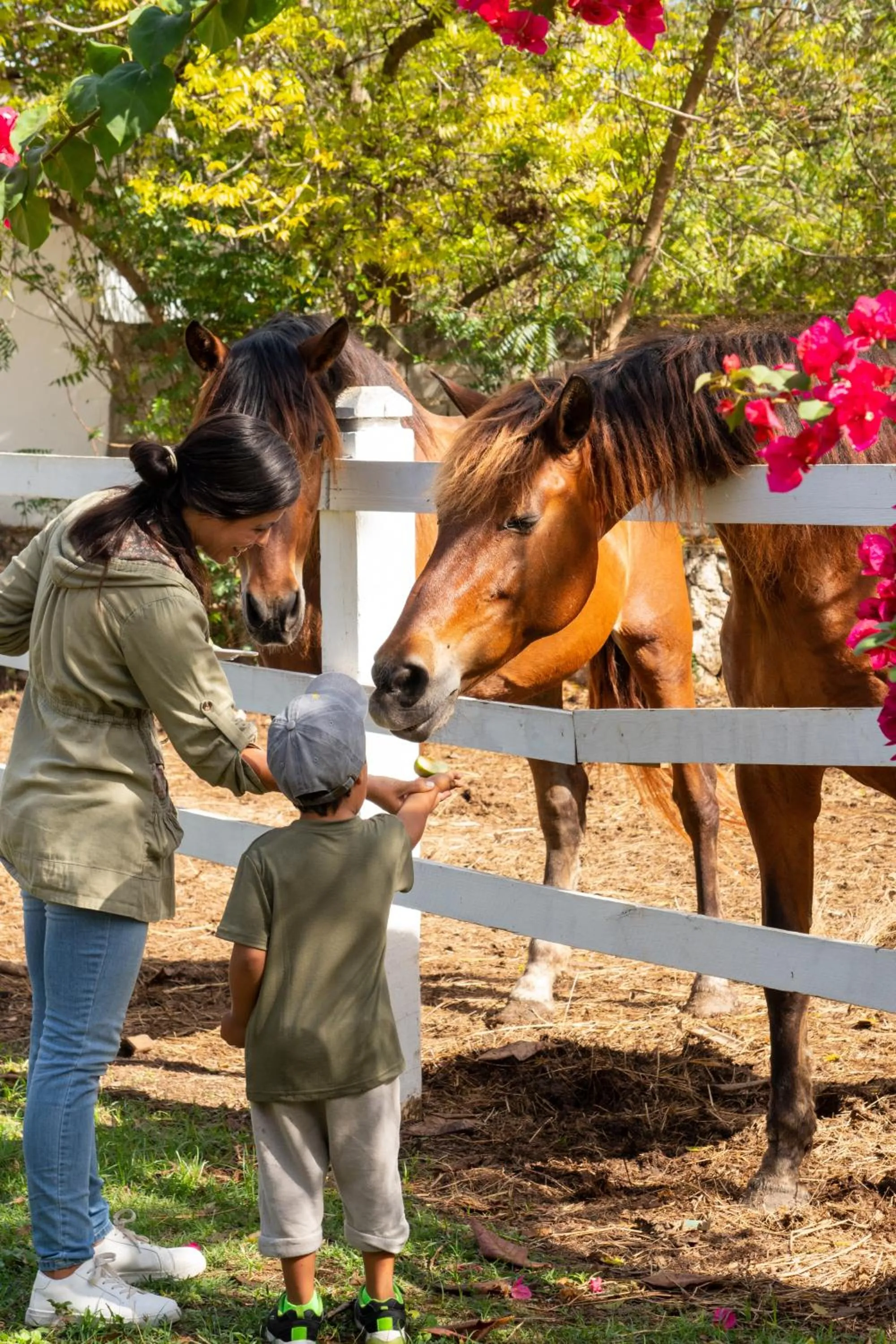 Horse-riding in Hotel Casa Hemingway