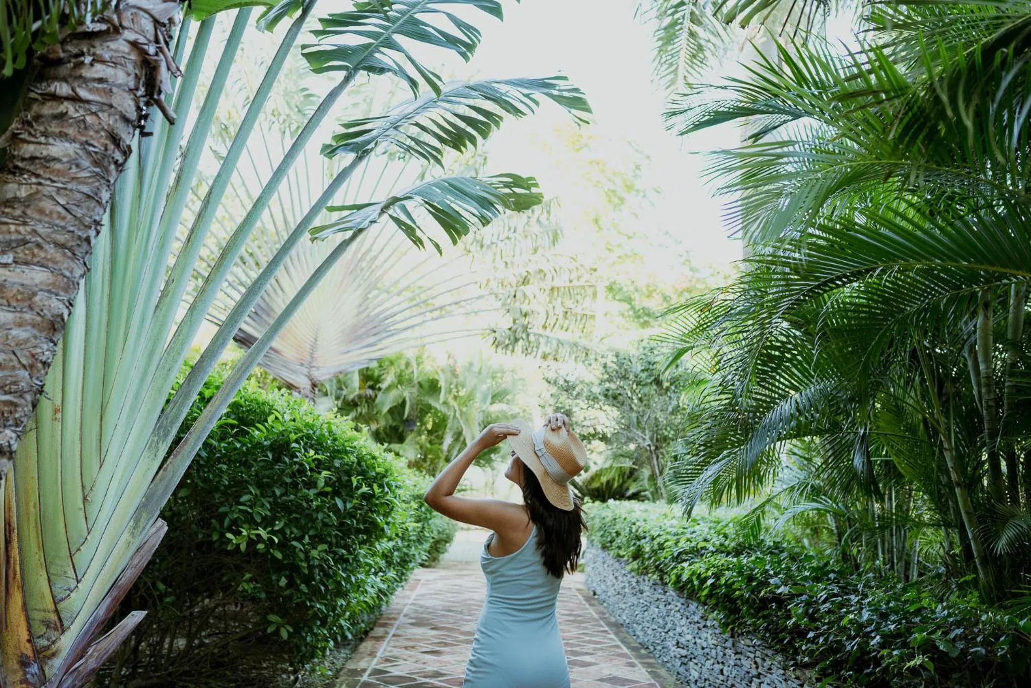 Garden in Hotel Casa Hemingway