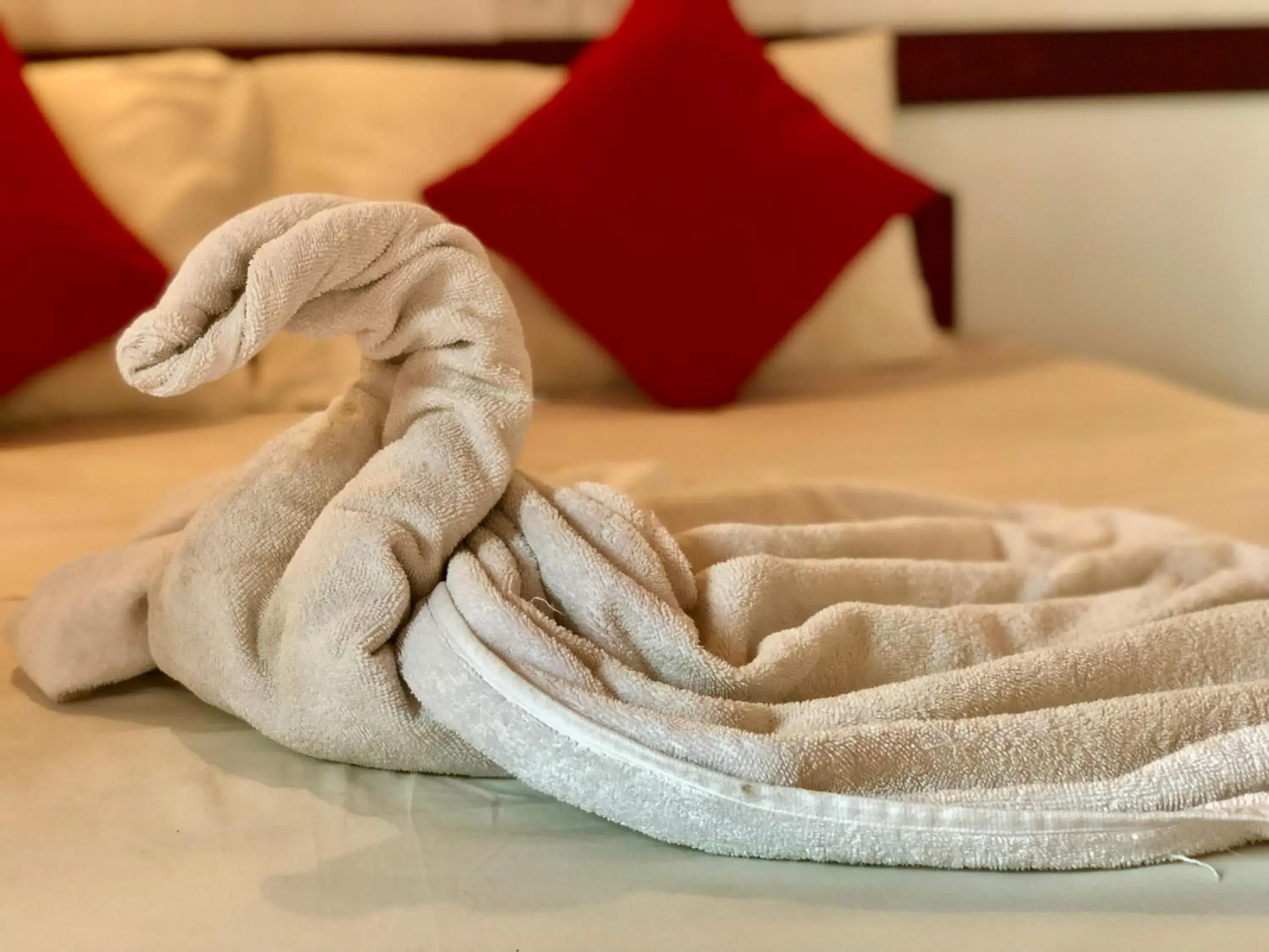 Comfort Quadruple Room in Drifters Hotel & Beach Restaurant Comfort Quadruple Room in Drifters Hotel & Beach Restaurant