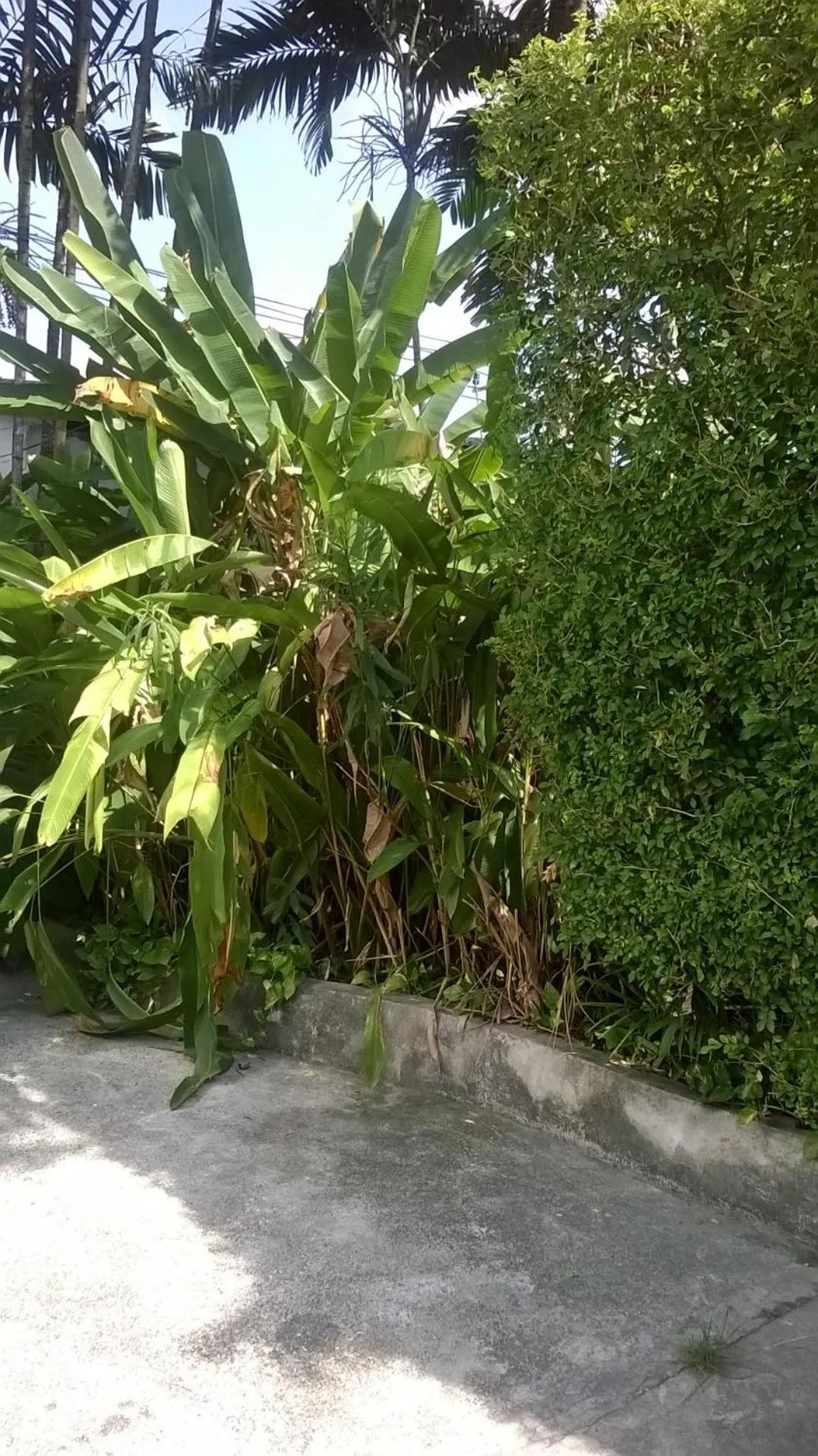 Baantonsai Garden Resort