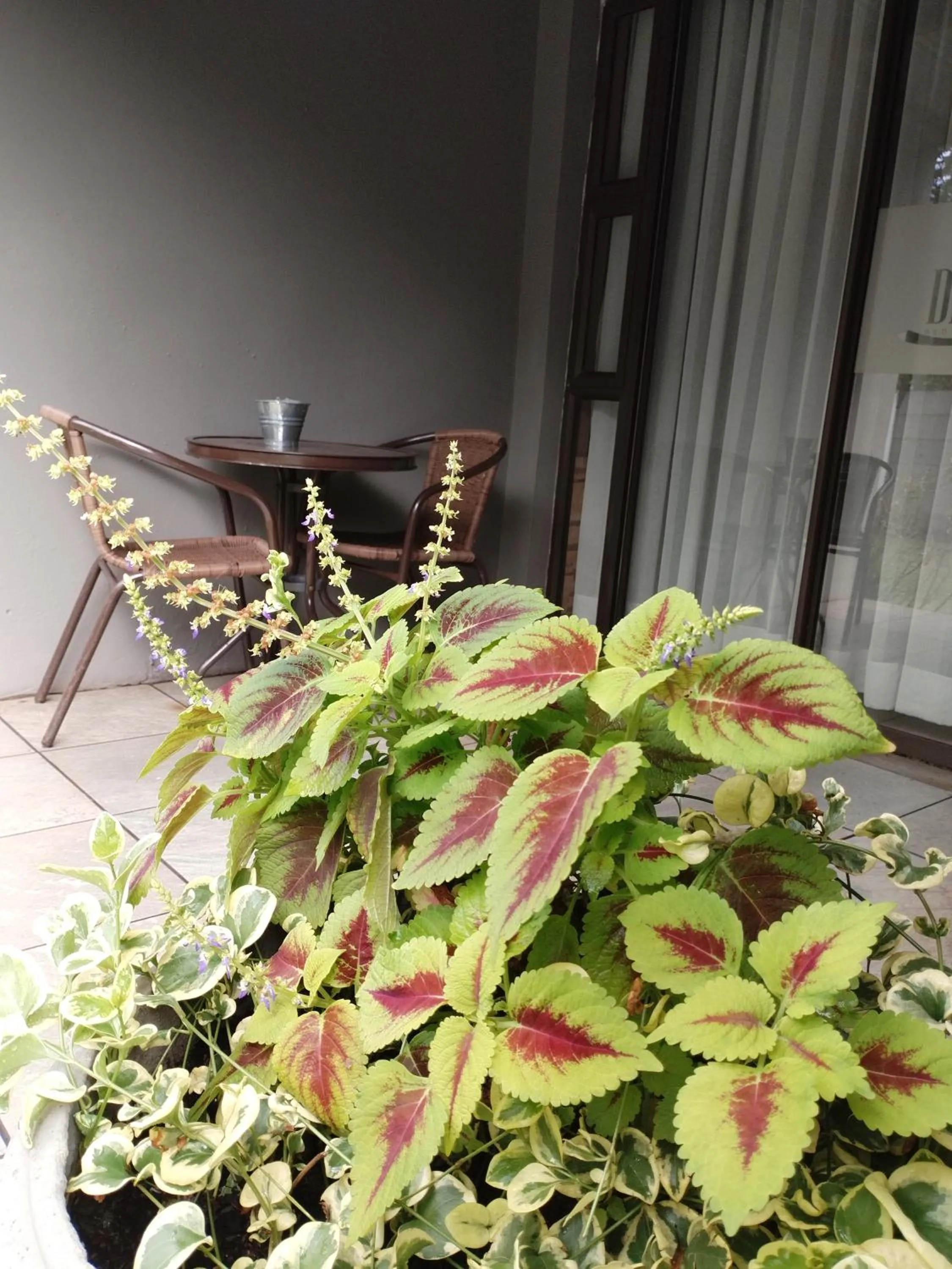 Ditsaleng Bed and Breakfast