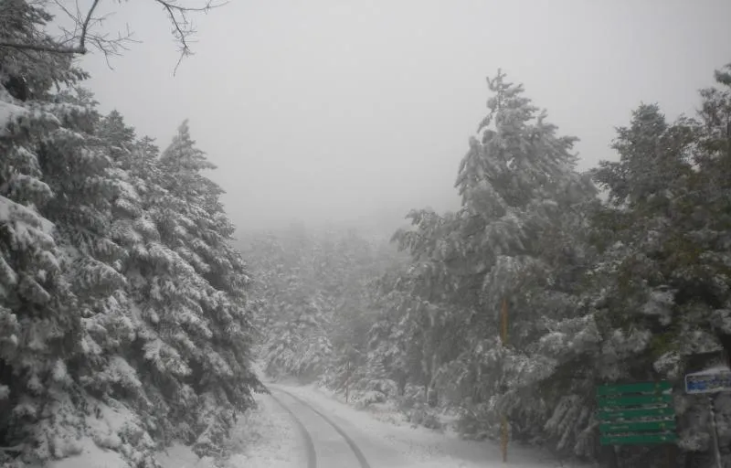 Natural landscape in Cavallari Palace Hotel Suites