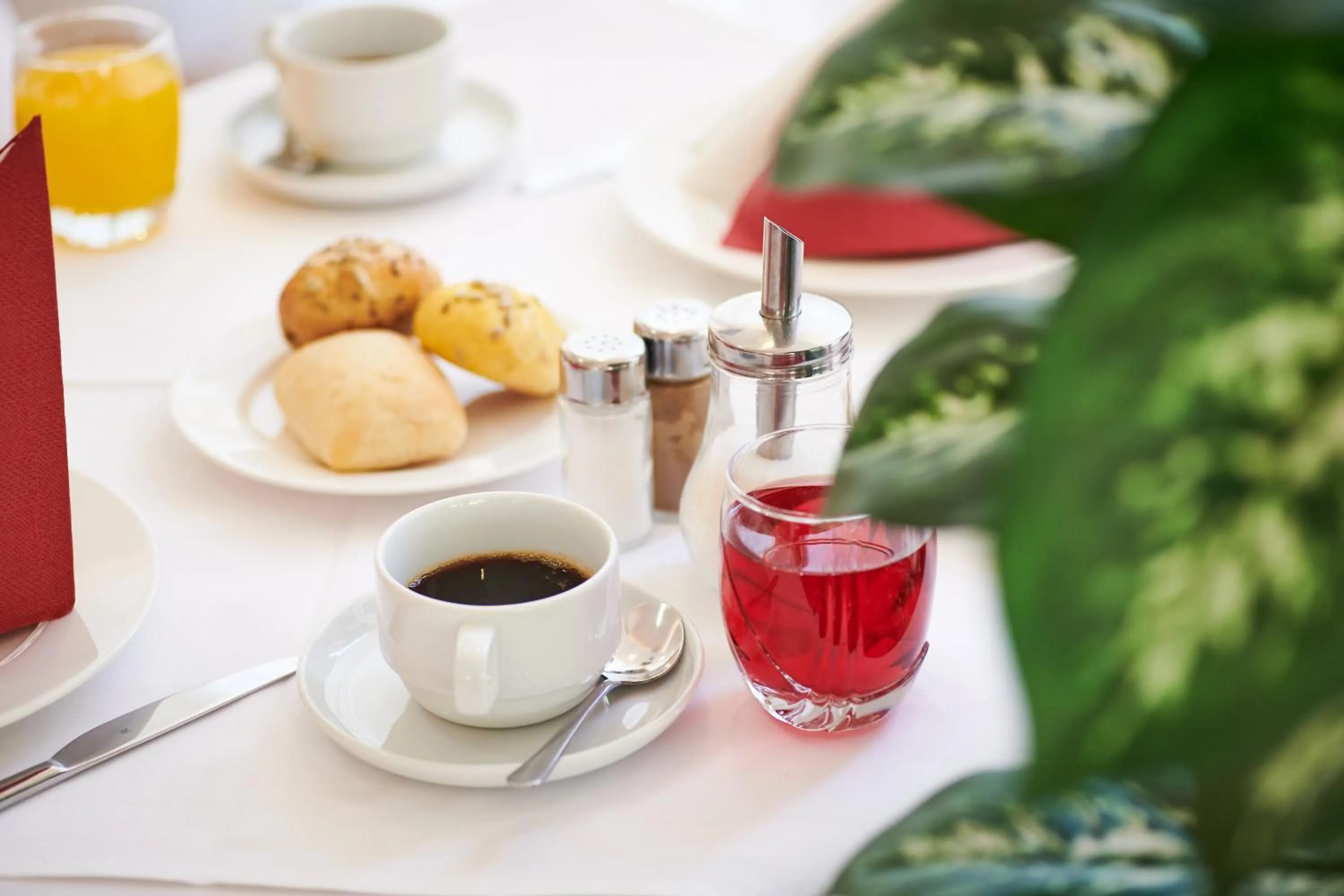 Food and drinks in Hotel Ivka