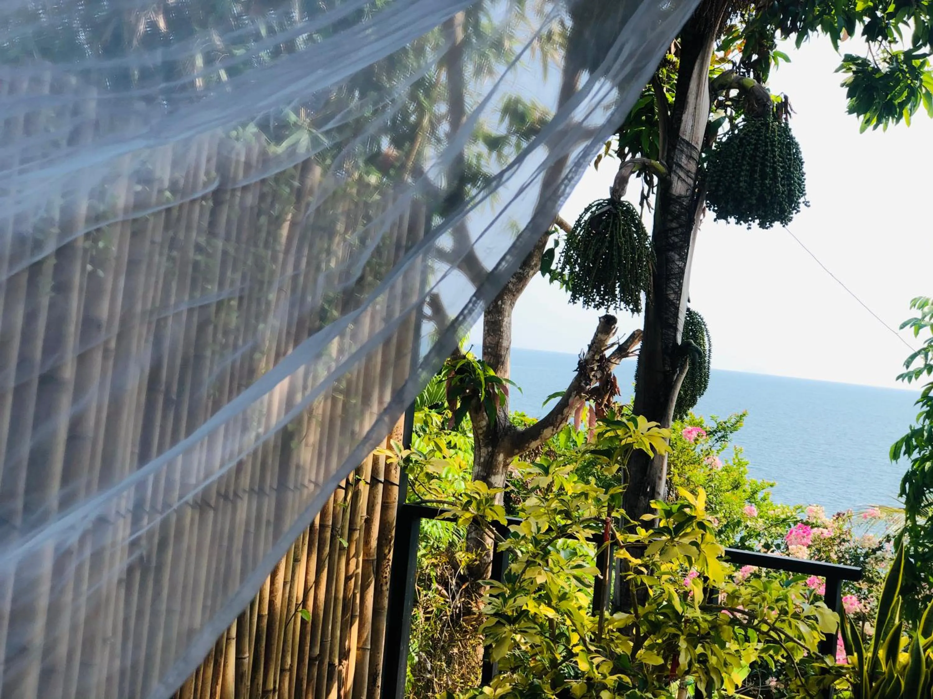 Restaurant/places to eat in Oon Lee Bungalows