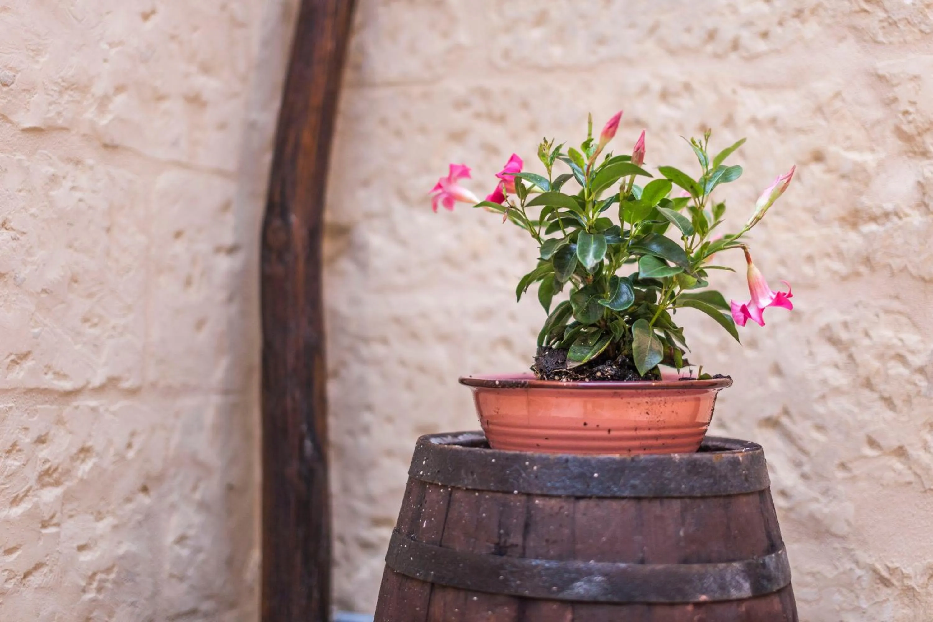 Decorative detail in La Luna In Cortile