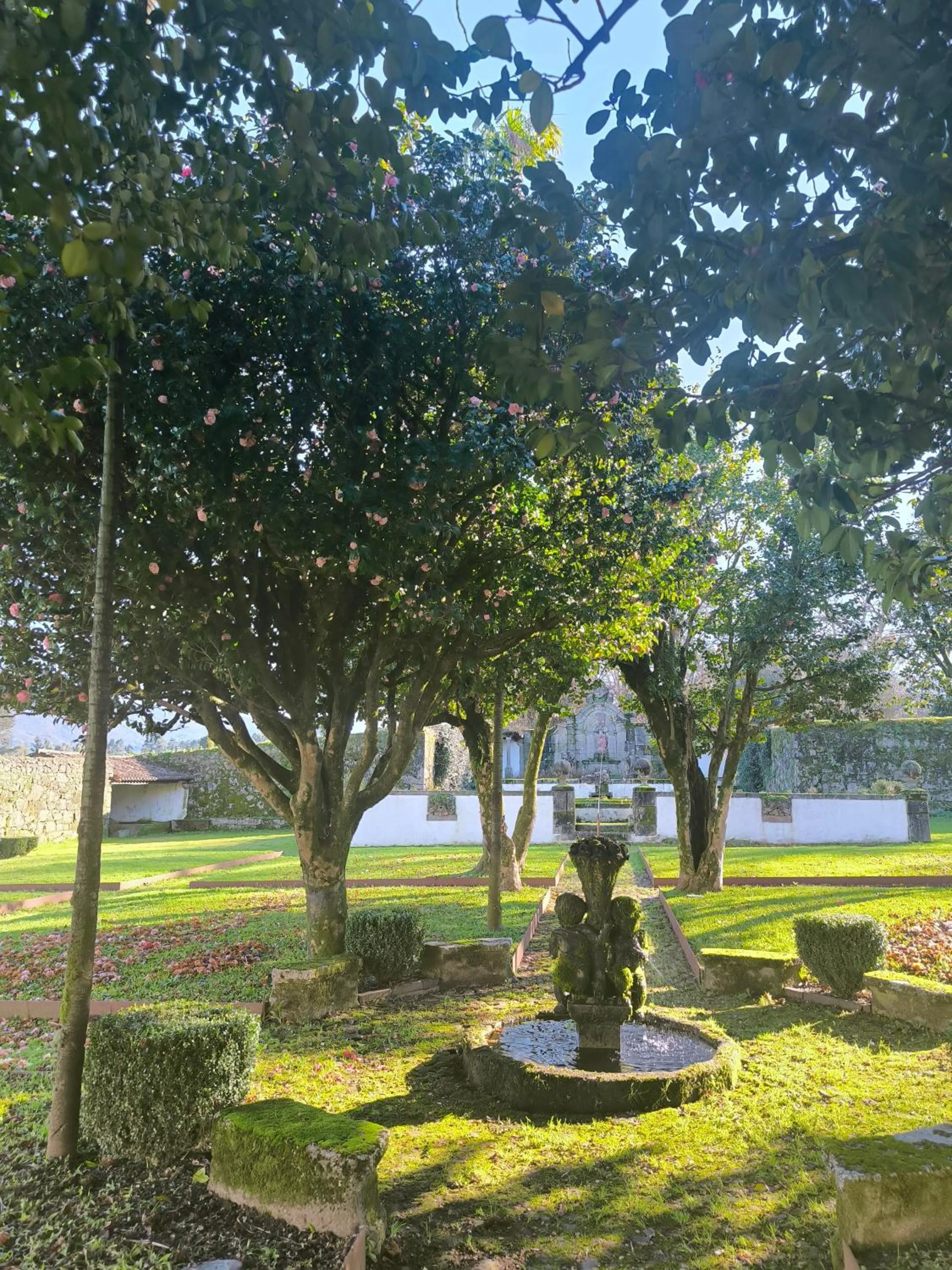 Garden view in Hotel Paço de Vitorino
