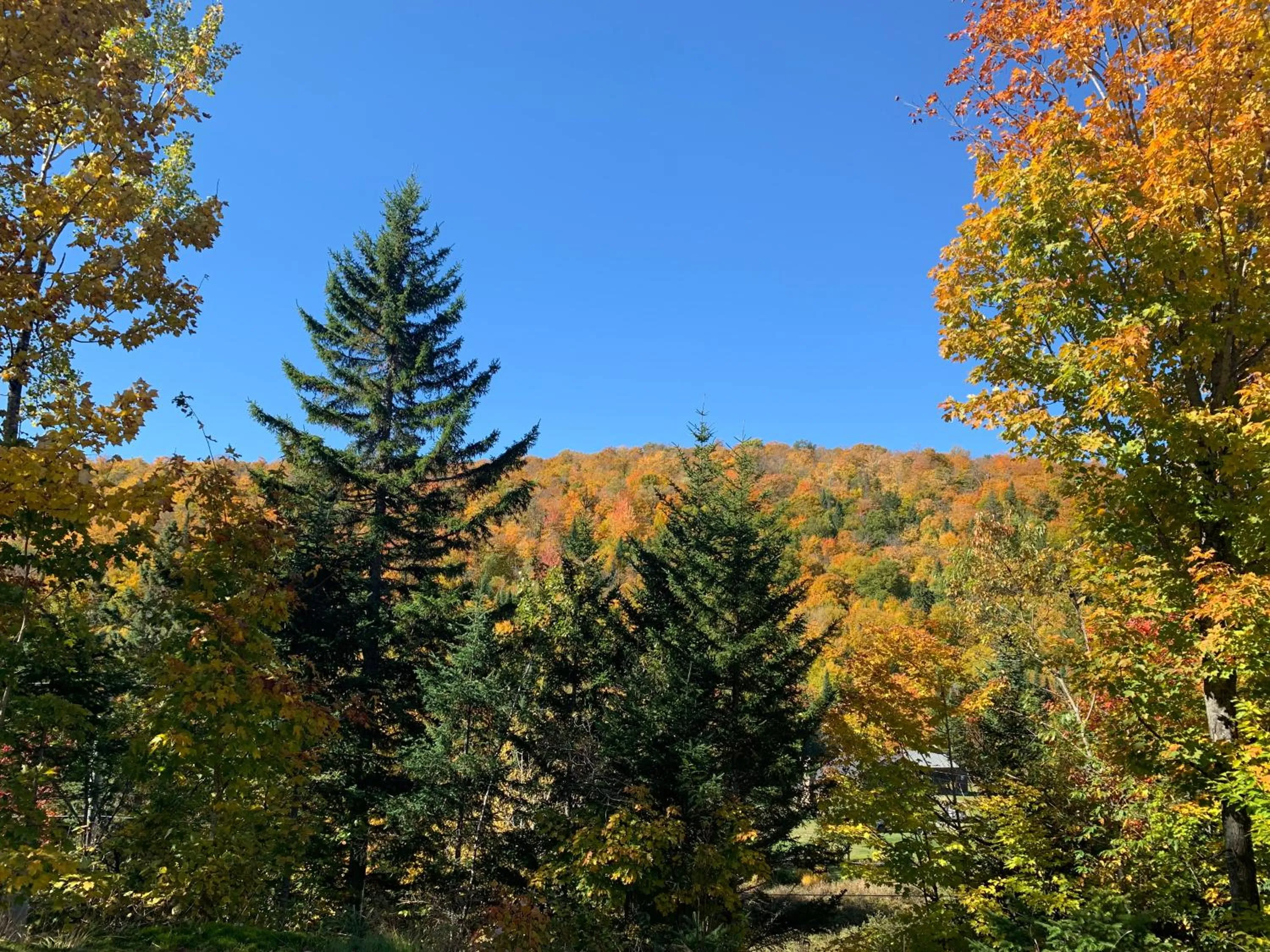 Mountain view in Loft Nature Laurentides