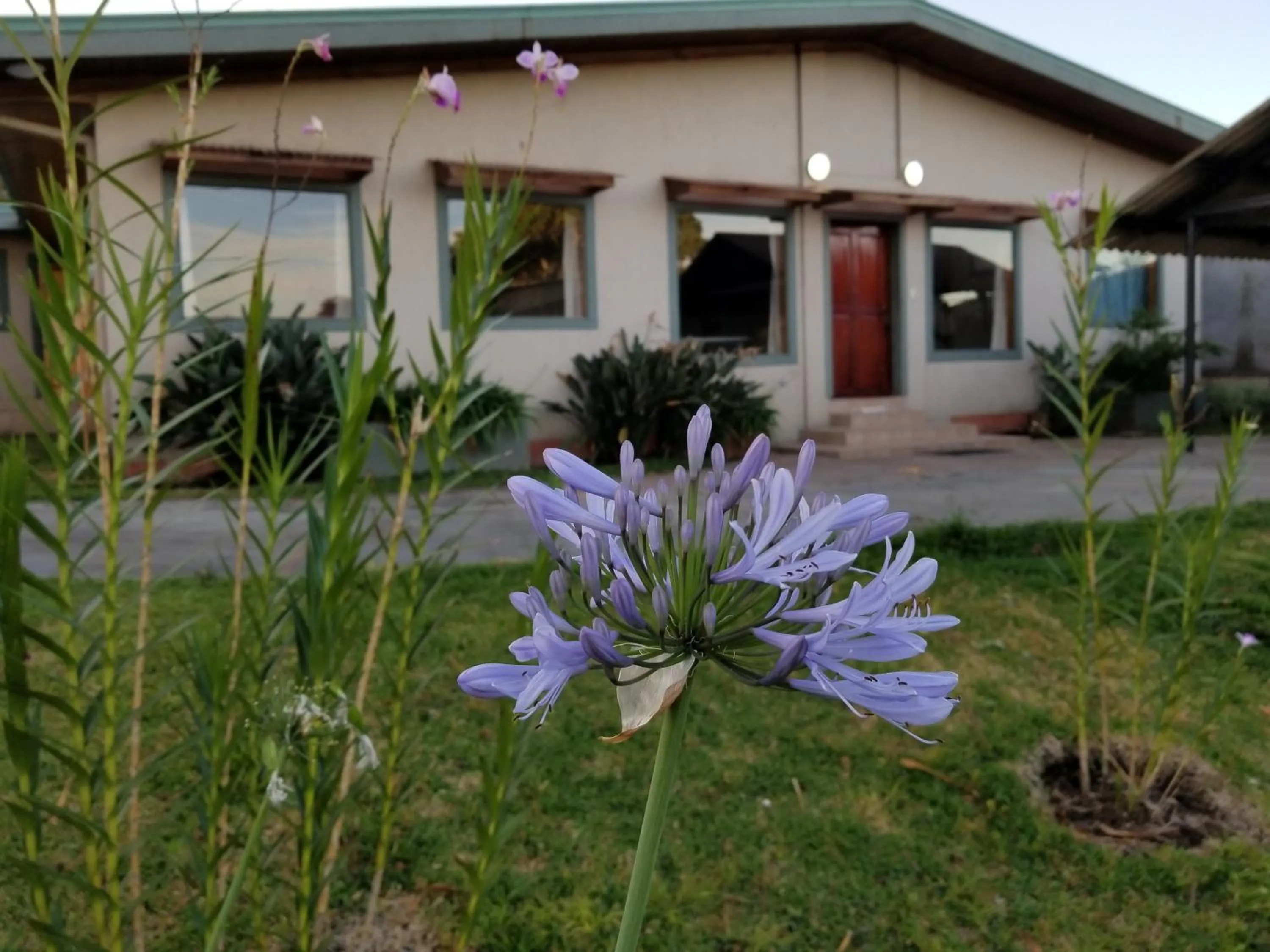 Garden in Hotel Monte Campana Escazu