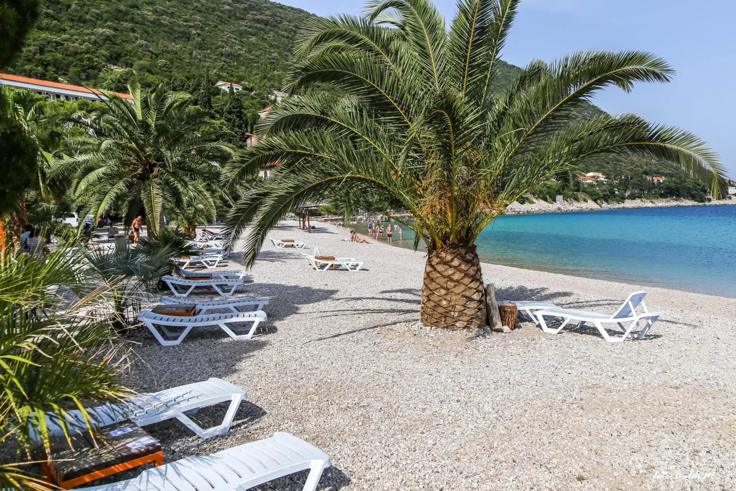 Natural landscape in Hotel Faraon