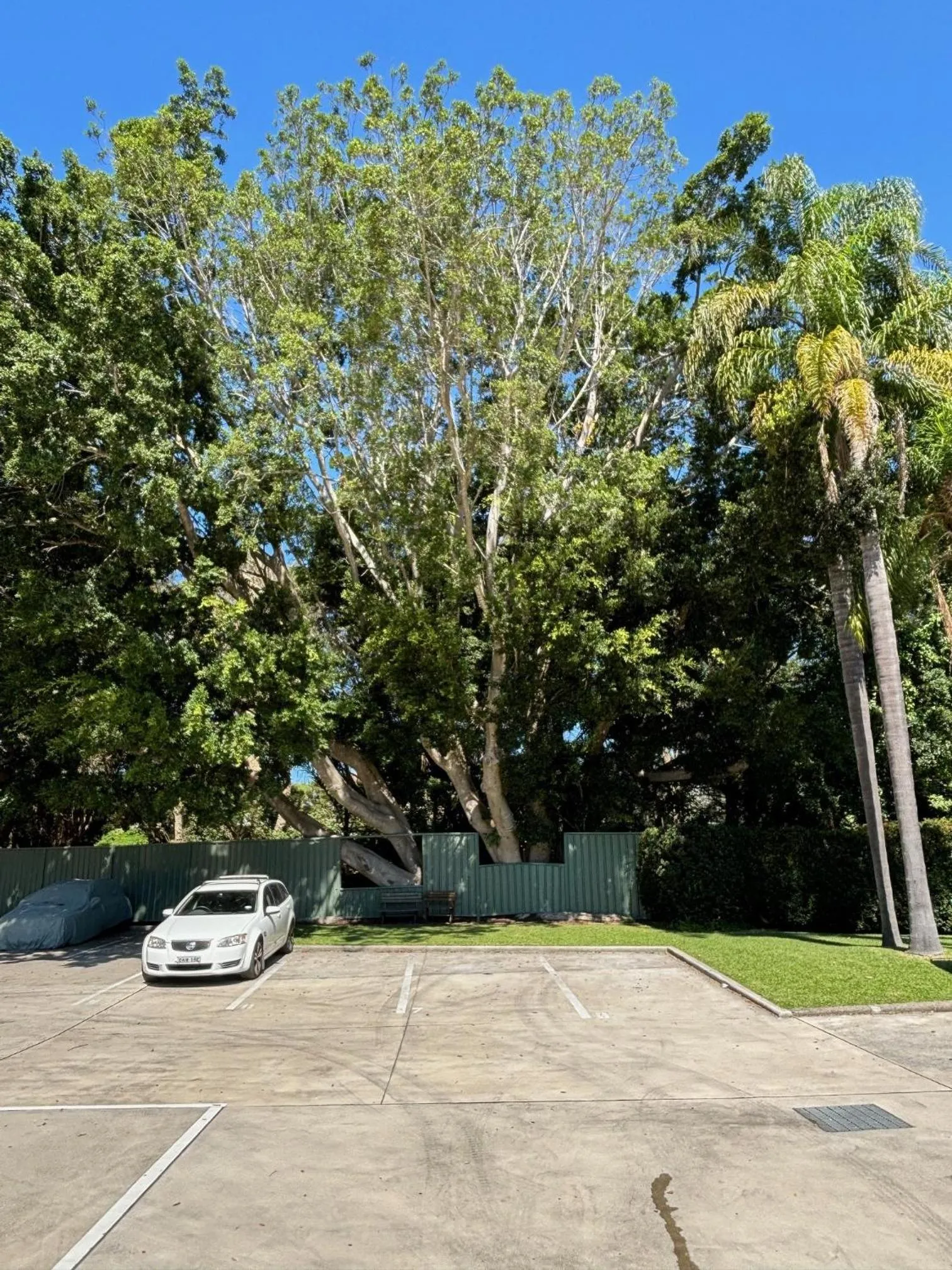 Parking in Time and Tide Hotel Motel