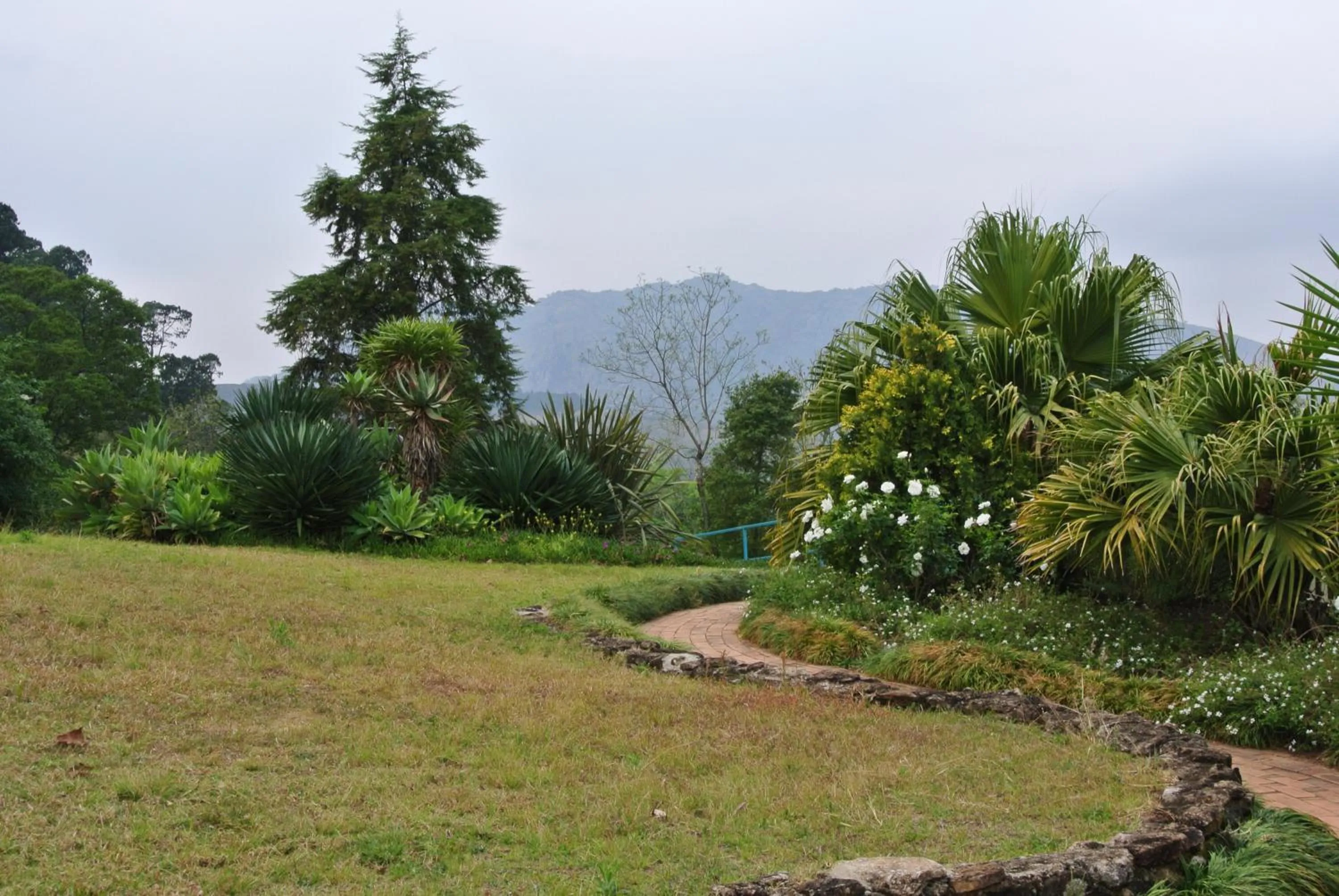 Natural landscape in Emafini Country Lodge
