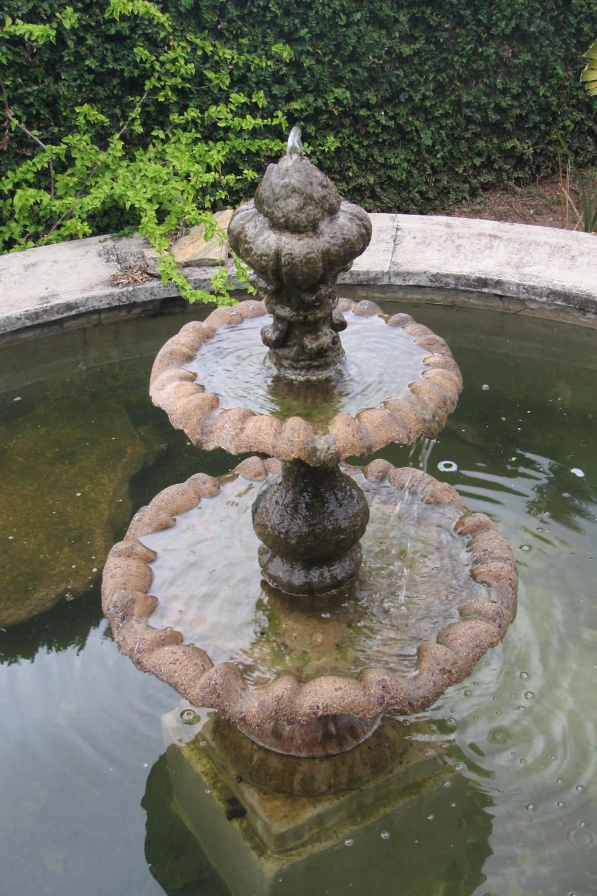 Garden in Emafini Country Lodge