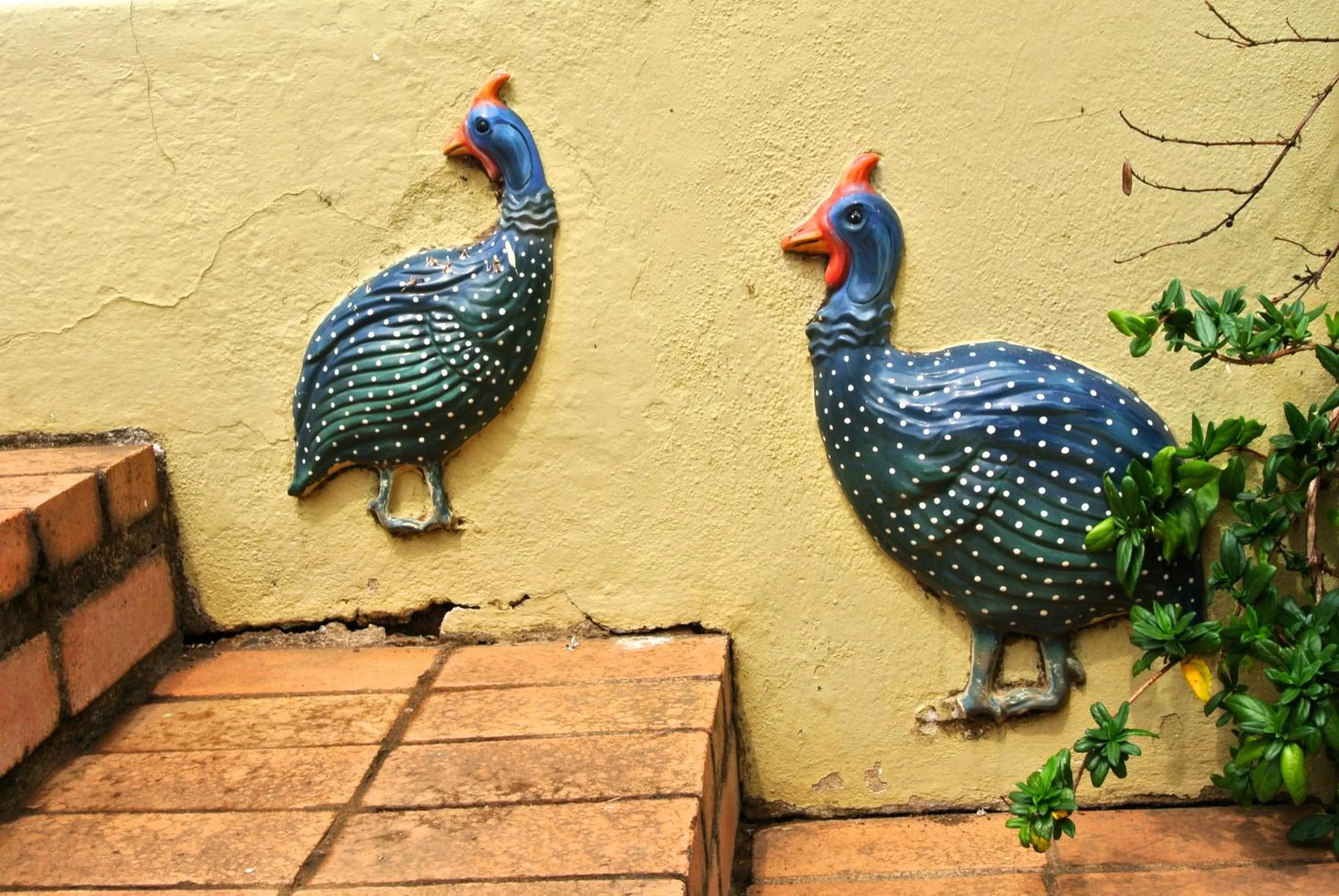 Property building in Emafini Country Lodge