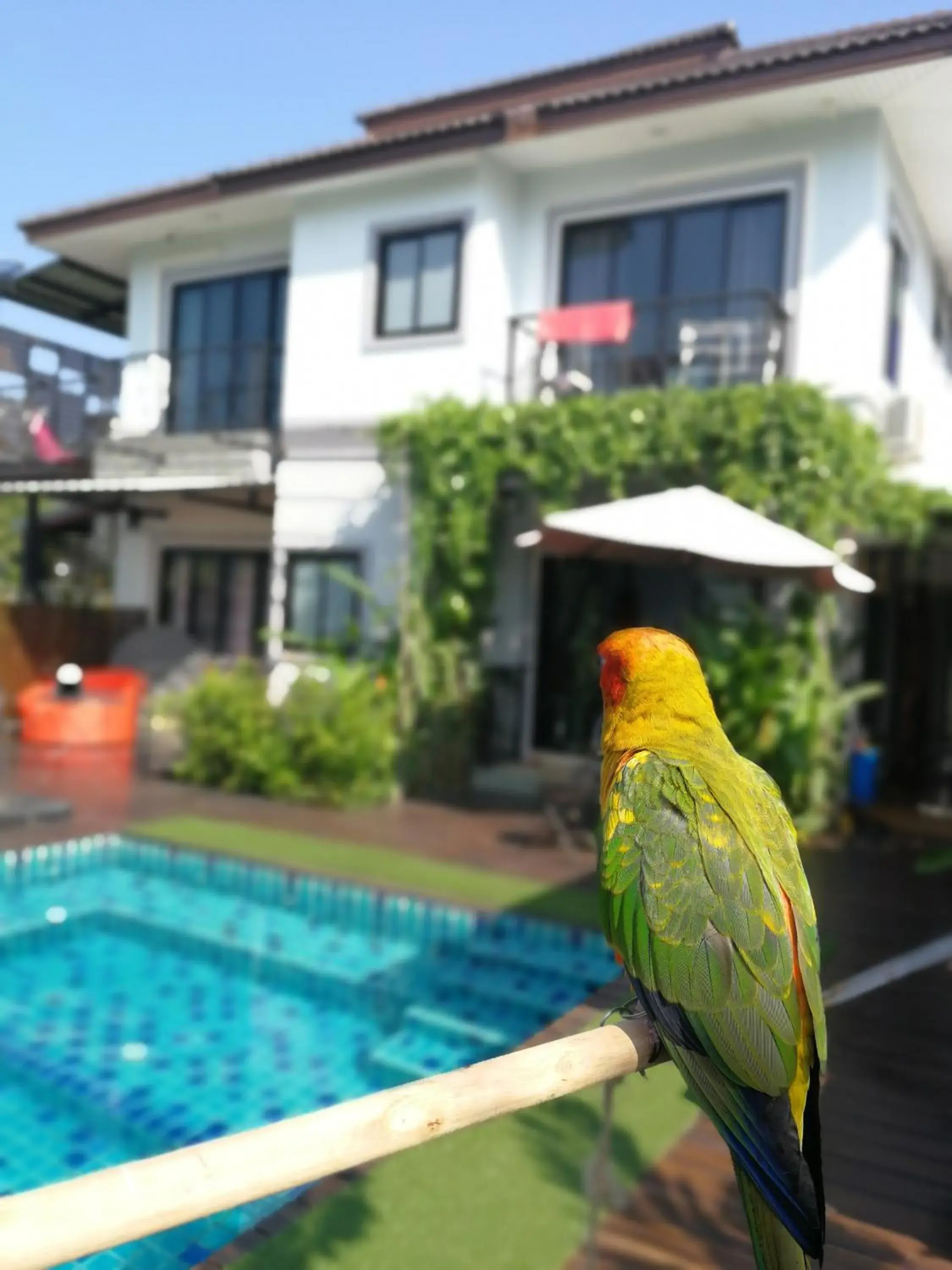 Deluxe Family Room in Na Na Doo Homestay Deluxe Family Room in Na Na Doo Homestay