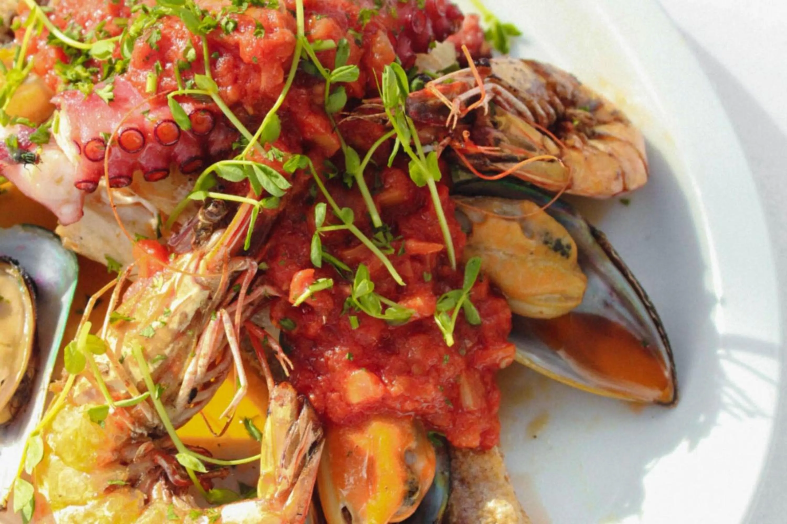 Restaurant/places to eat in Courtyard by Marriott Bonaire Dive Resort