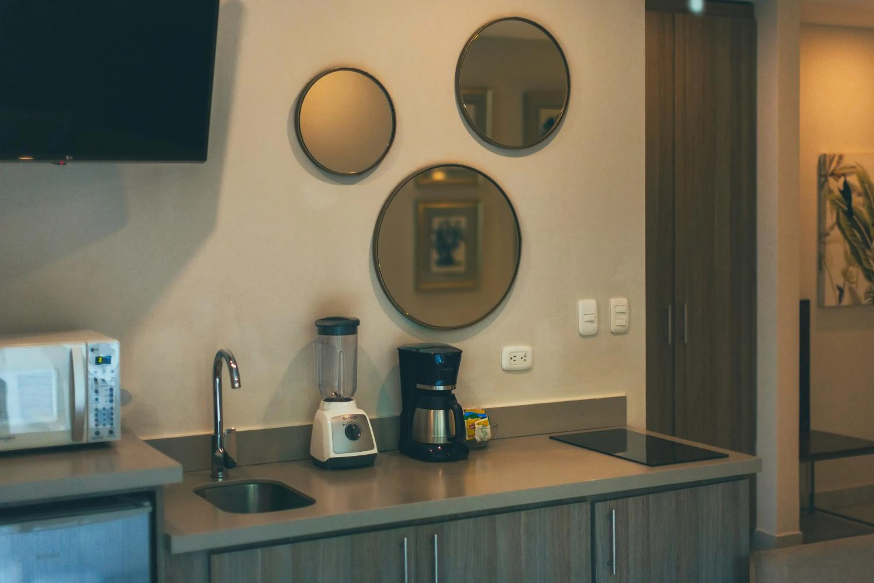 Kitchen or kitchenette in Jungle Vista Boutique Hotel