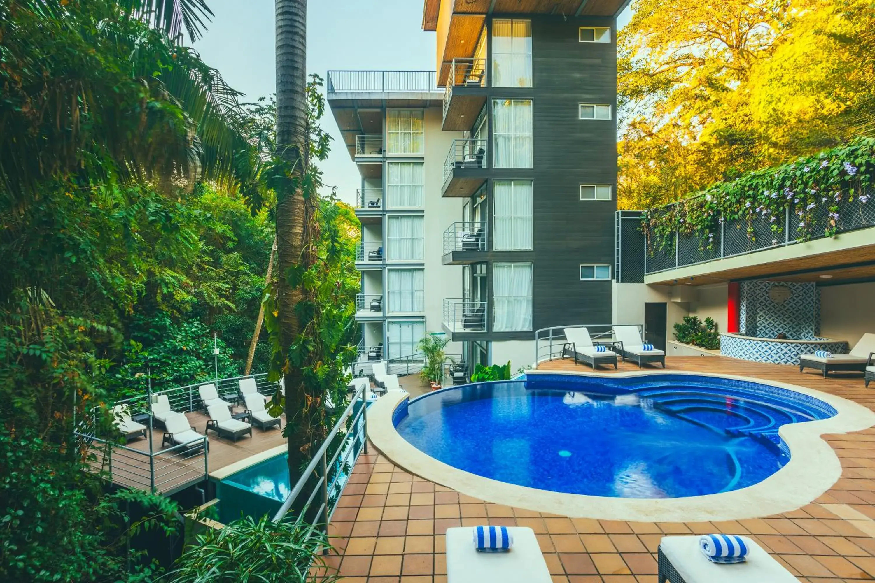 Jungle Vista Boutique Hotel Jungle Vista Boutique Hotel