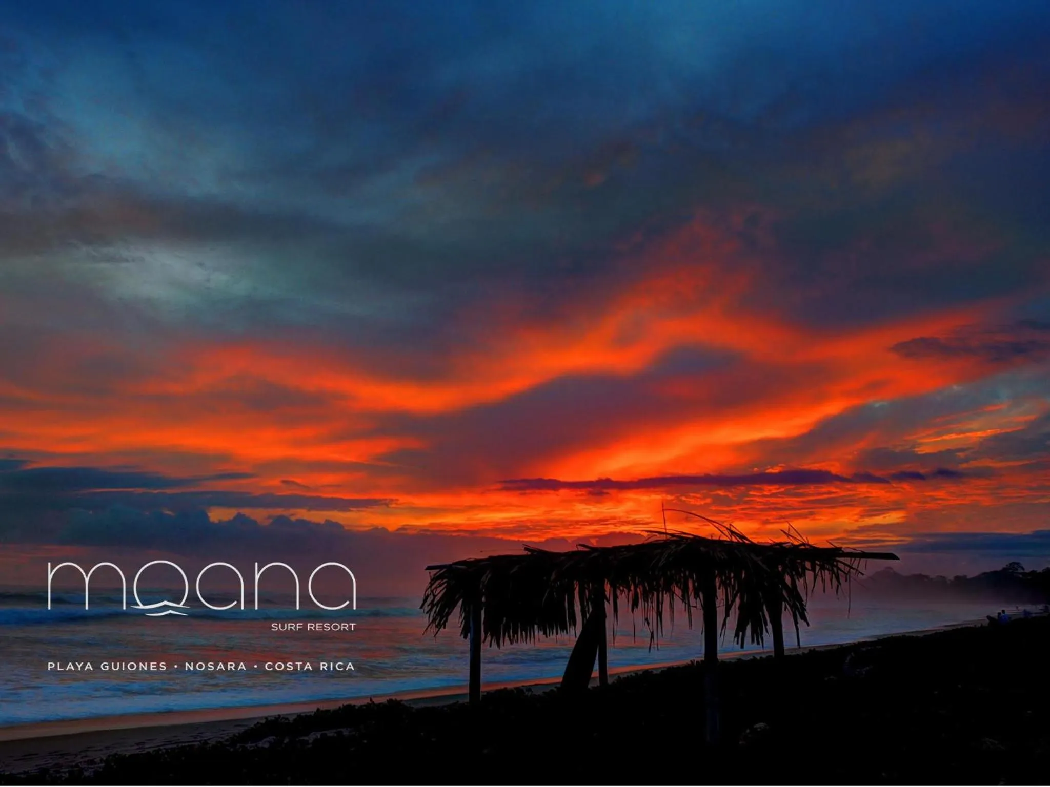 Property logo or sign in Moana Surf Resort