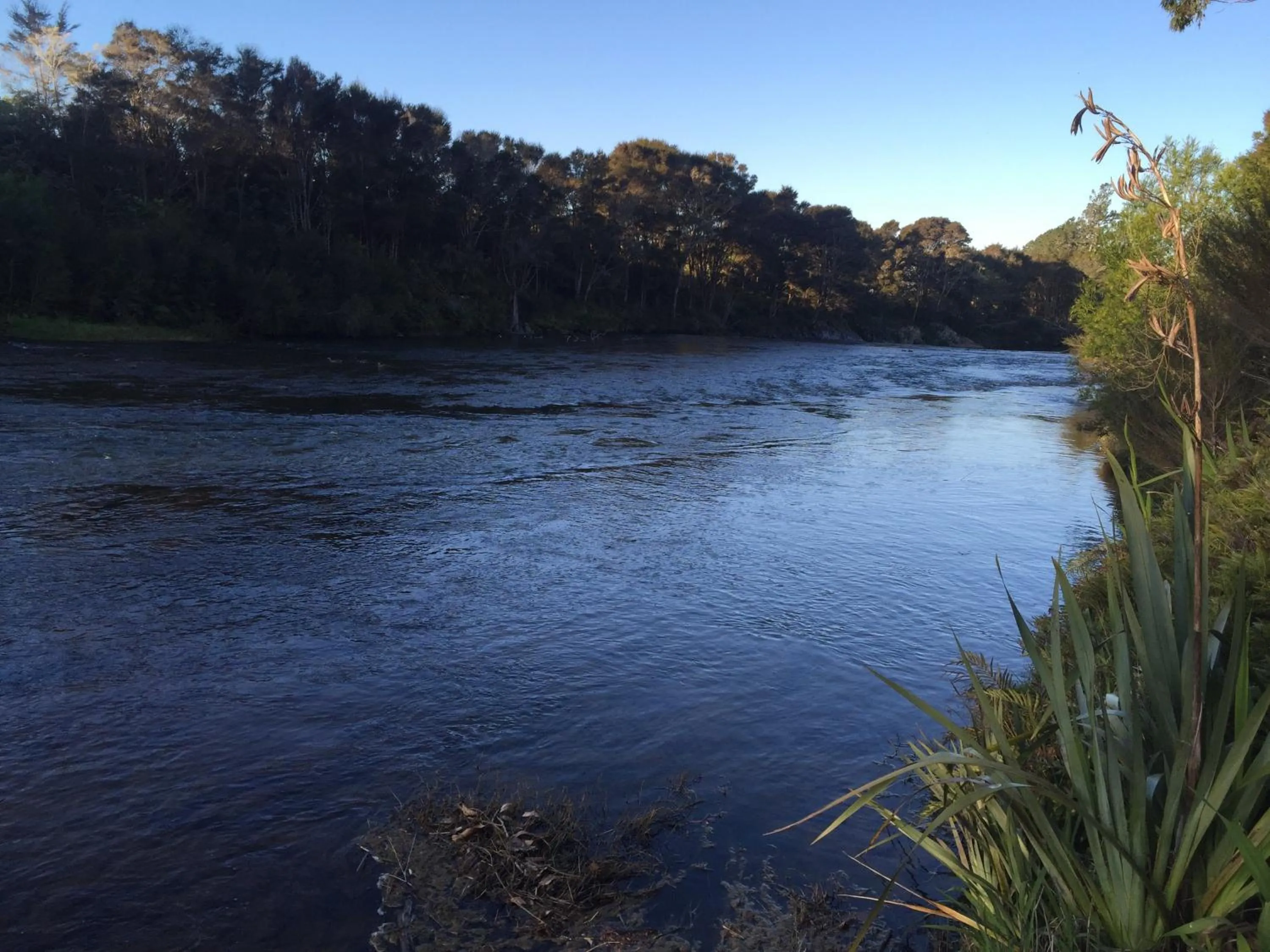 River view in Bay of Islands Holiday Park