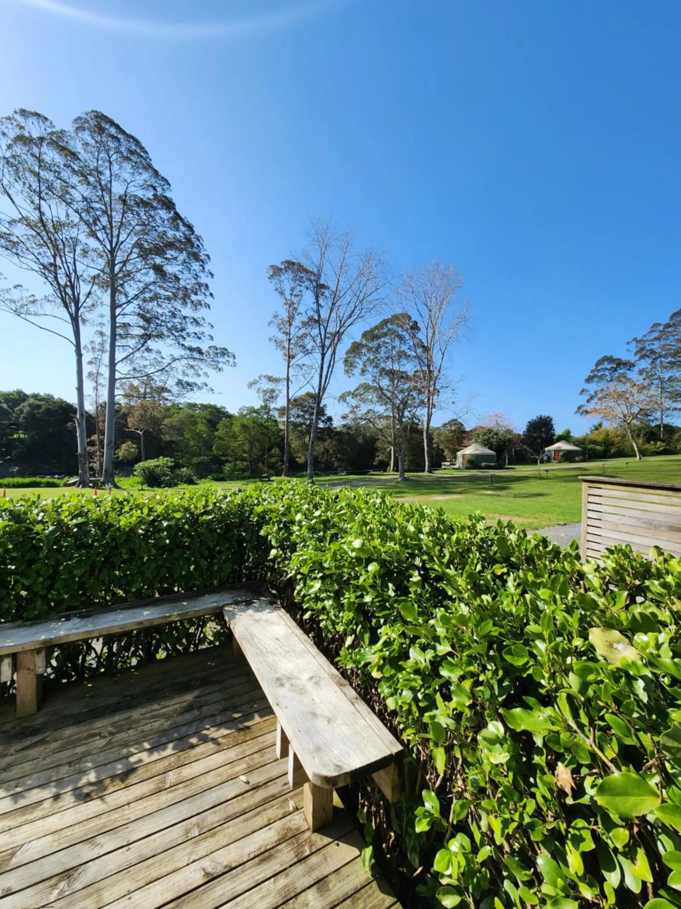 Summer in Bay of Islands Holiday Park