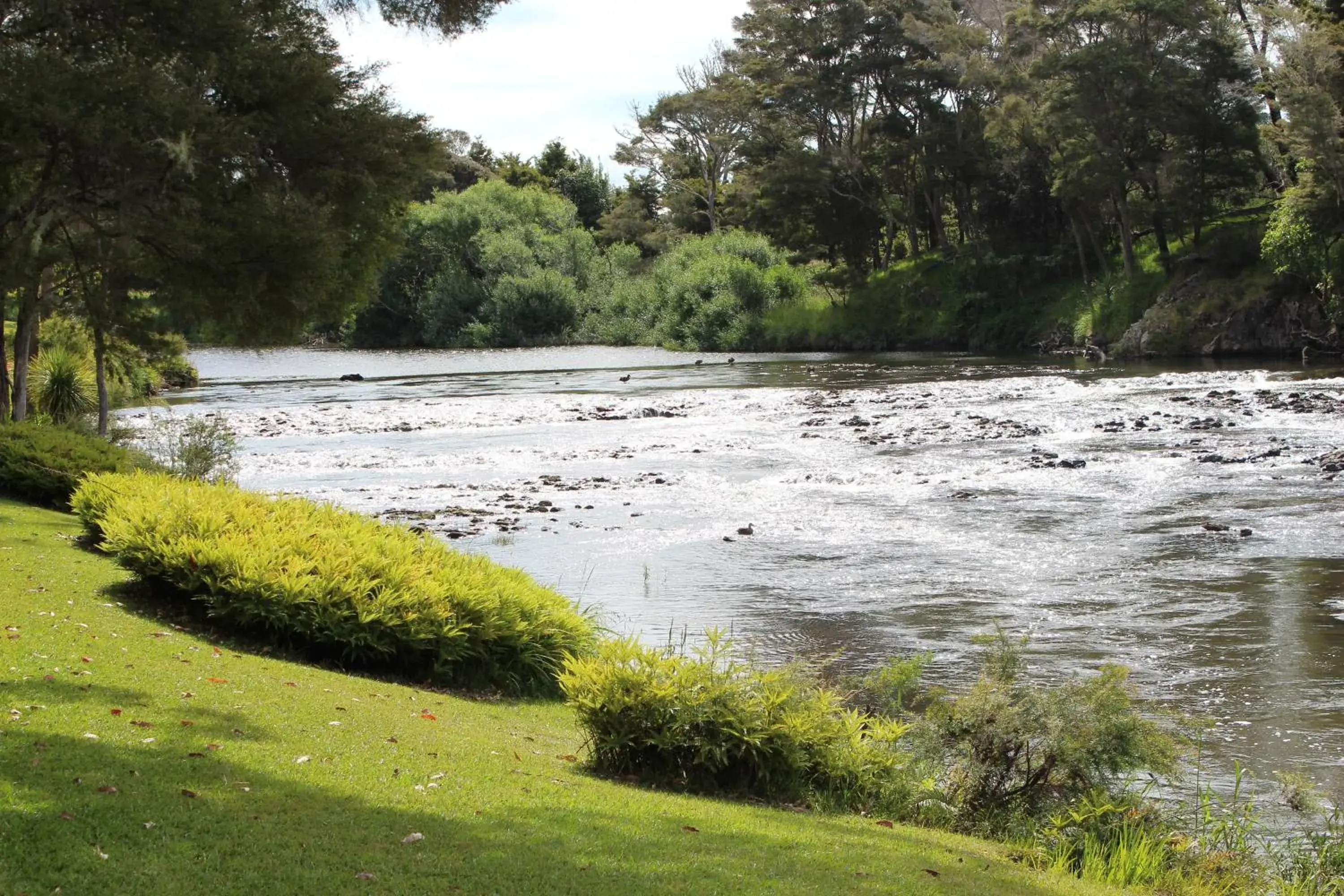 Bungalow - Water Front in Bay of Islands Holiday Park Bungalow - Water Front in Bay of Islands Holiday Park