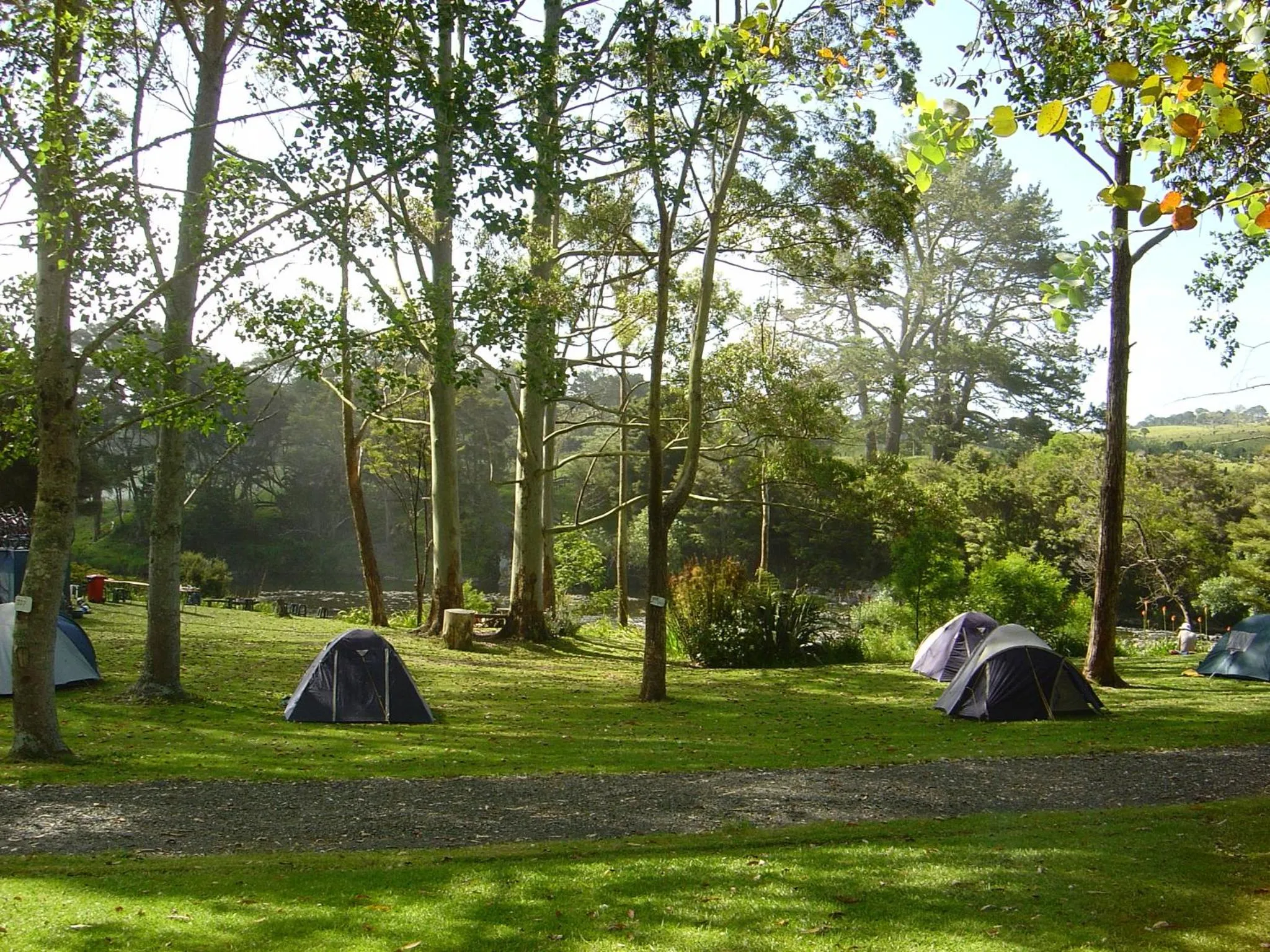 Garden in Bay of Islands Holiday Park