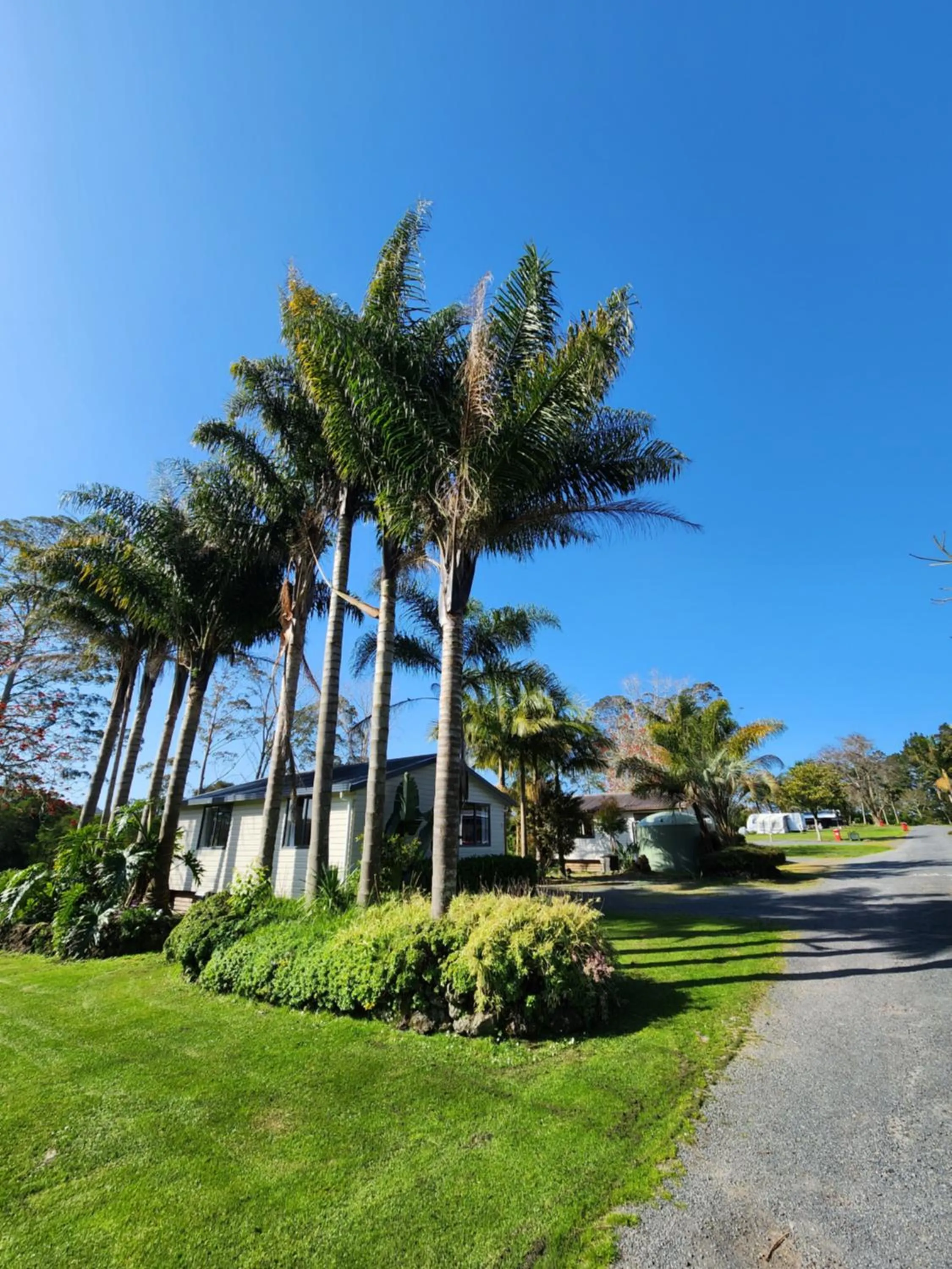 Garden in Bay of Islands Holiday Park