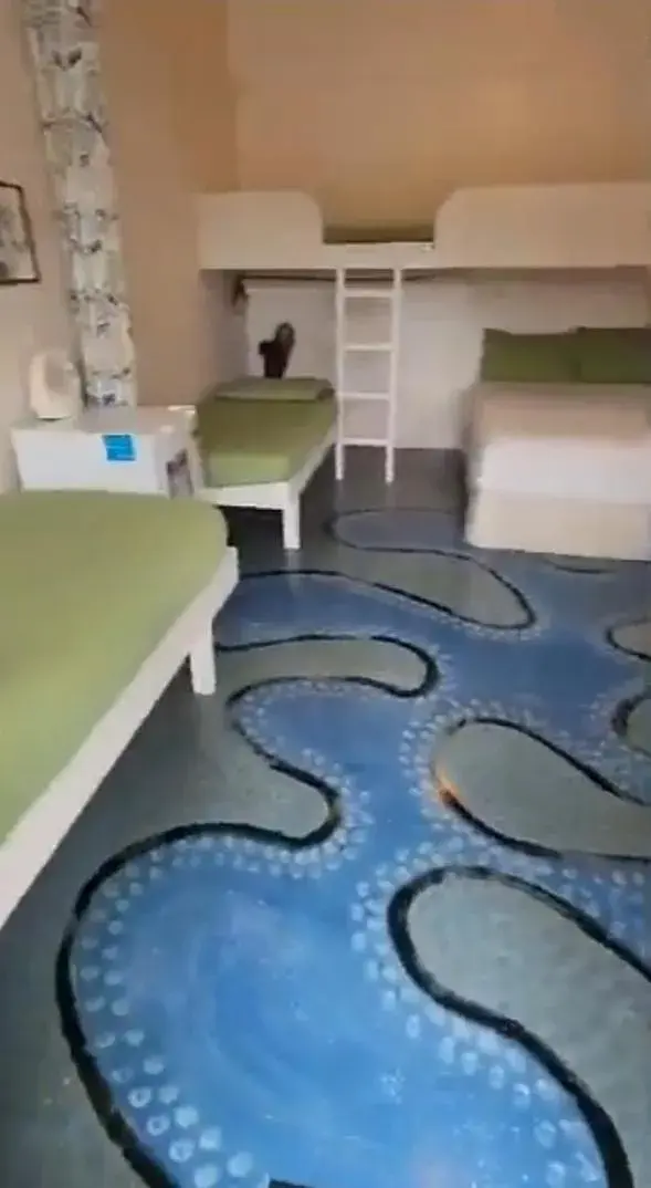 Cabins in Bay of Islands Holiday Park Cabins in Bay of Islands Holiday Park