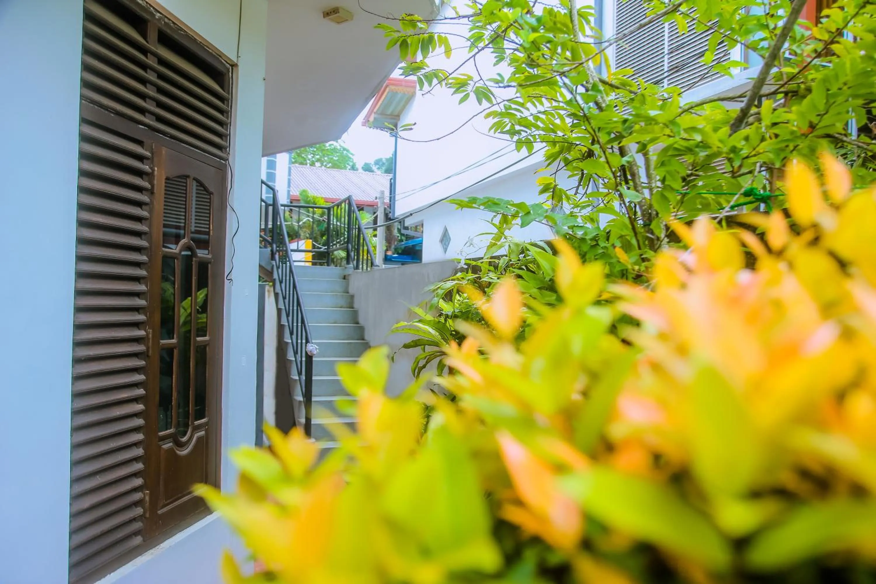 Property building in Brave resort Mirissa