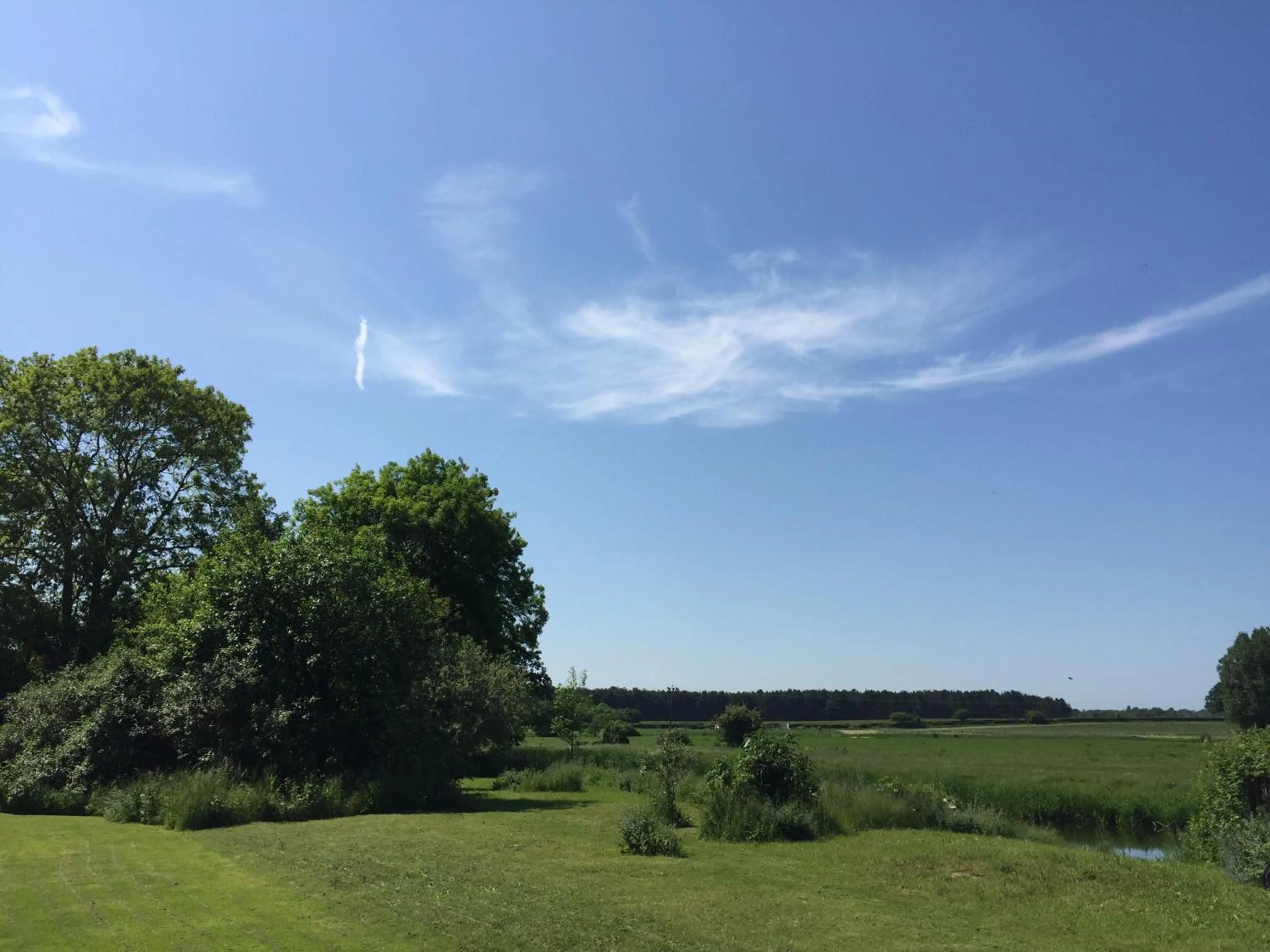 Garden view in Riverside House