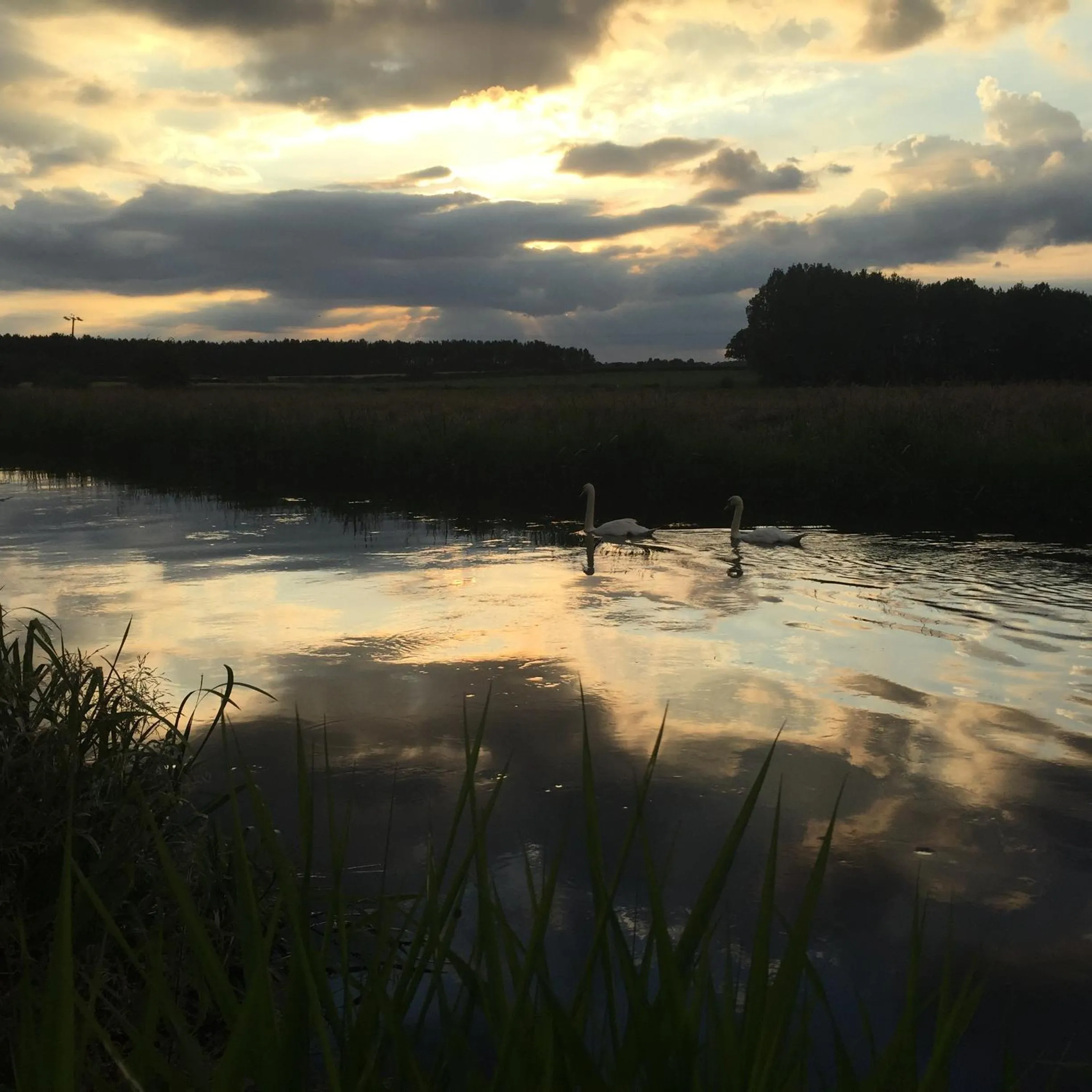 River view in Riverside House
