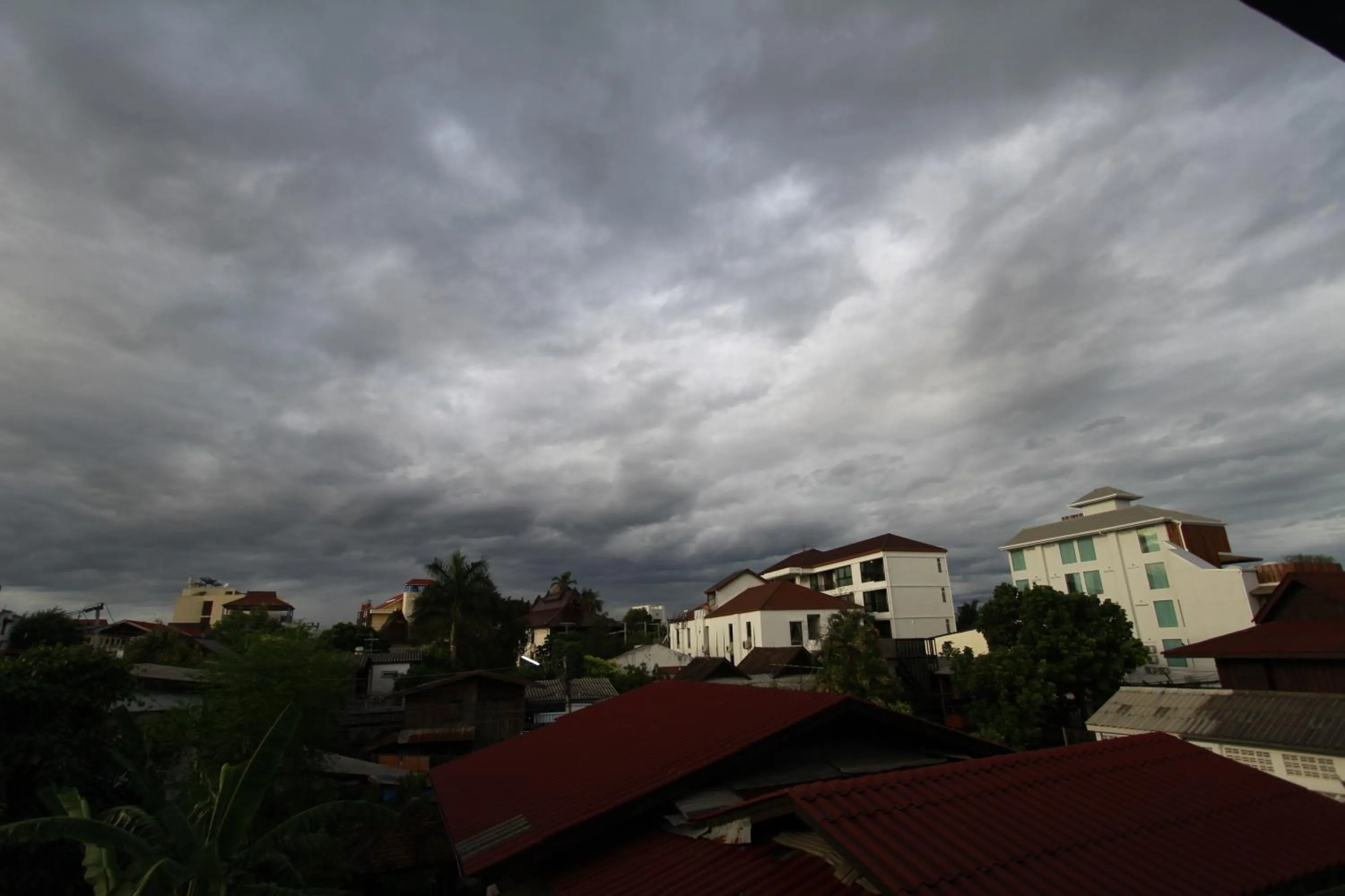 Bird's eye view in Chez Pom