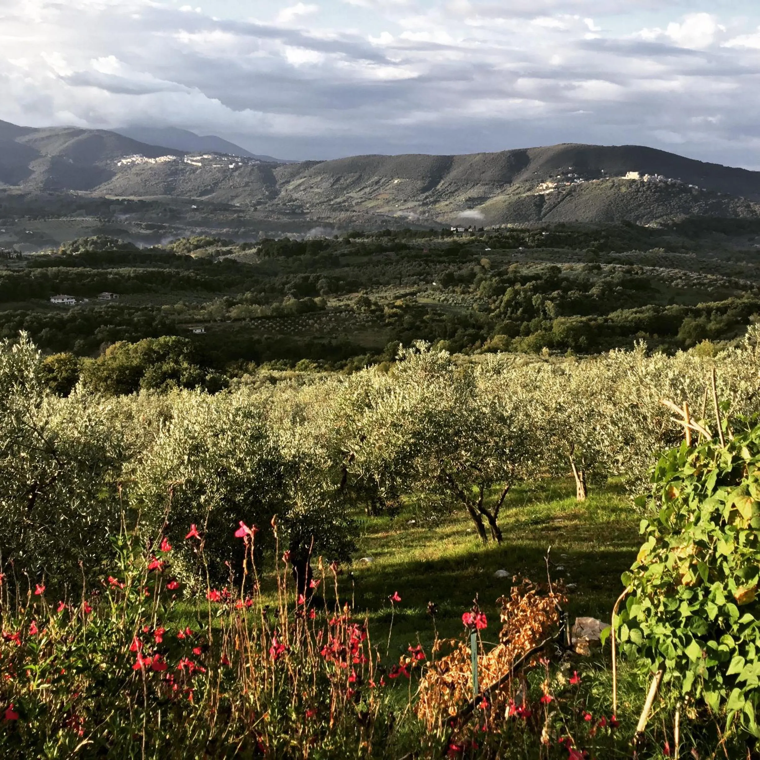 Property building in B&B da Odila