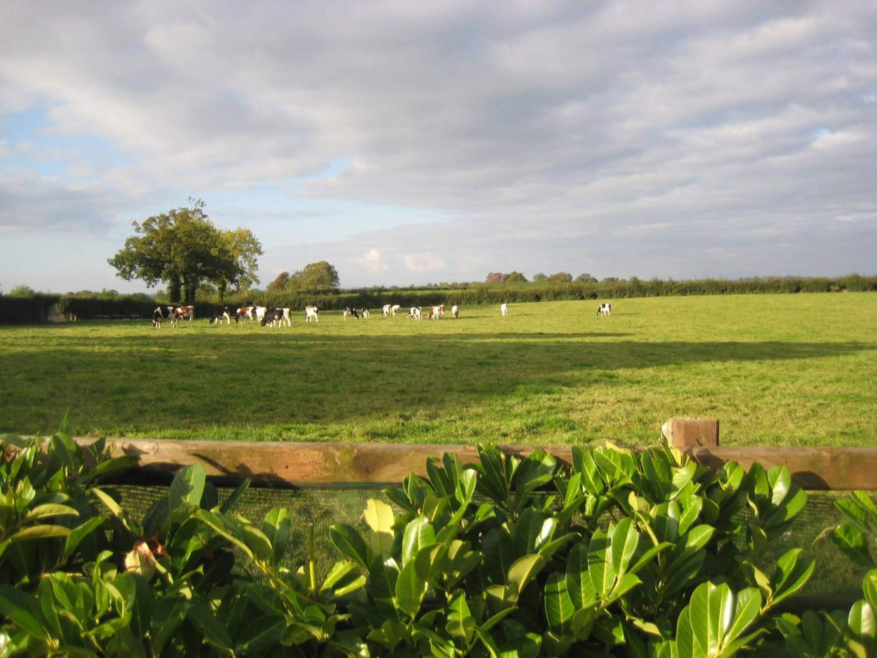 Natural landscape in Drumspittal House Guest Accomodation