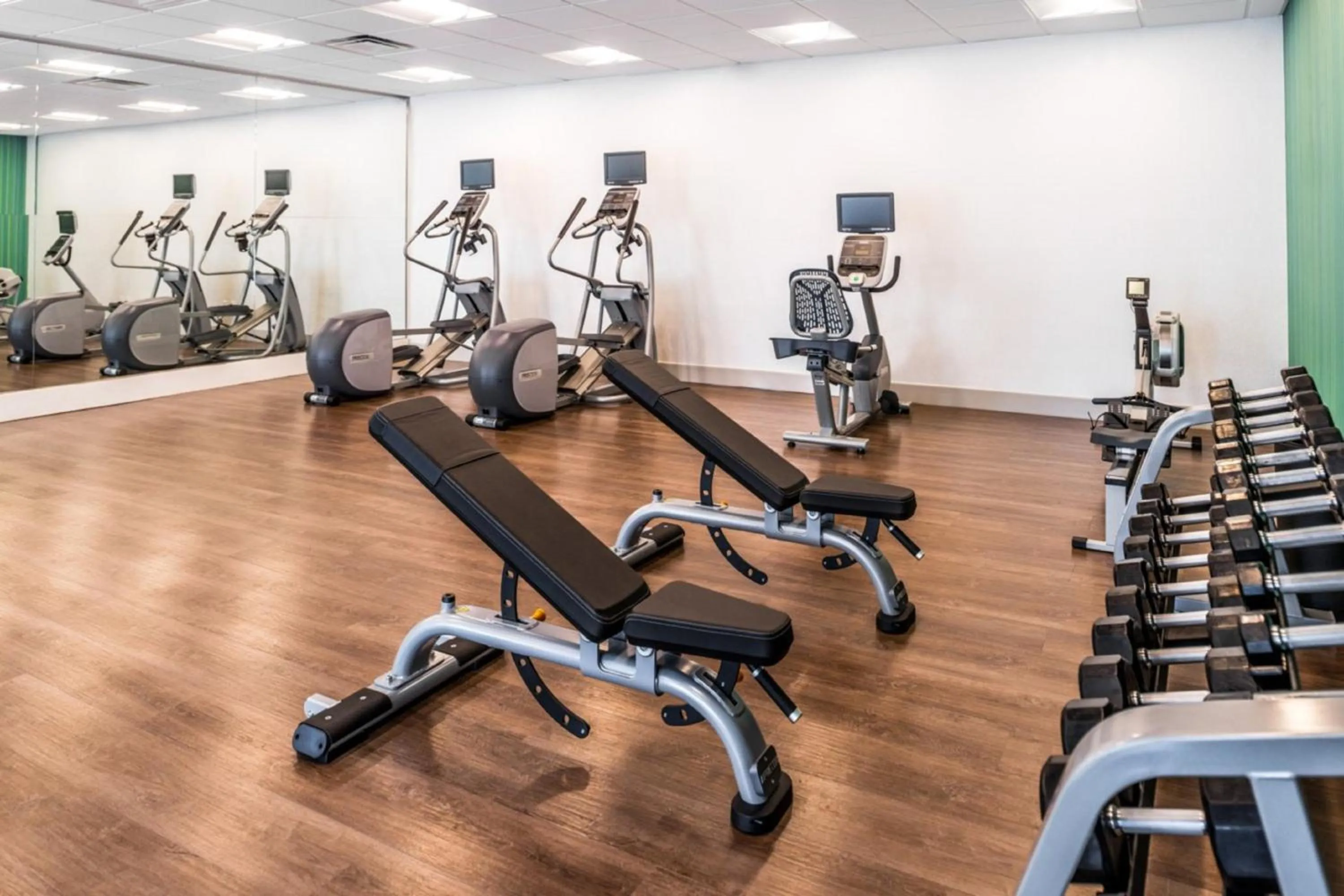 Fitness centre/facilities in Holiday Inn Express & Suites - Tampa North - Wesley Chapel by IHG