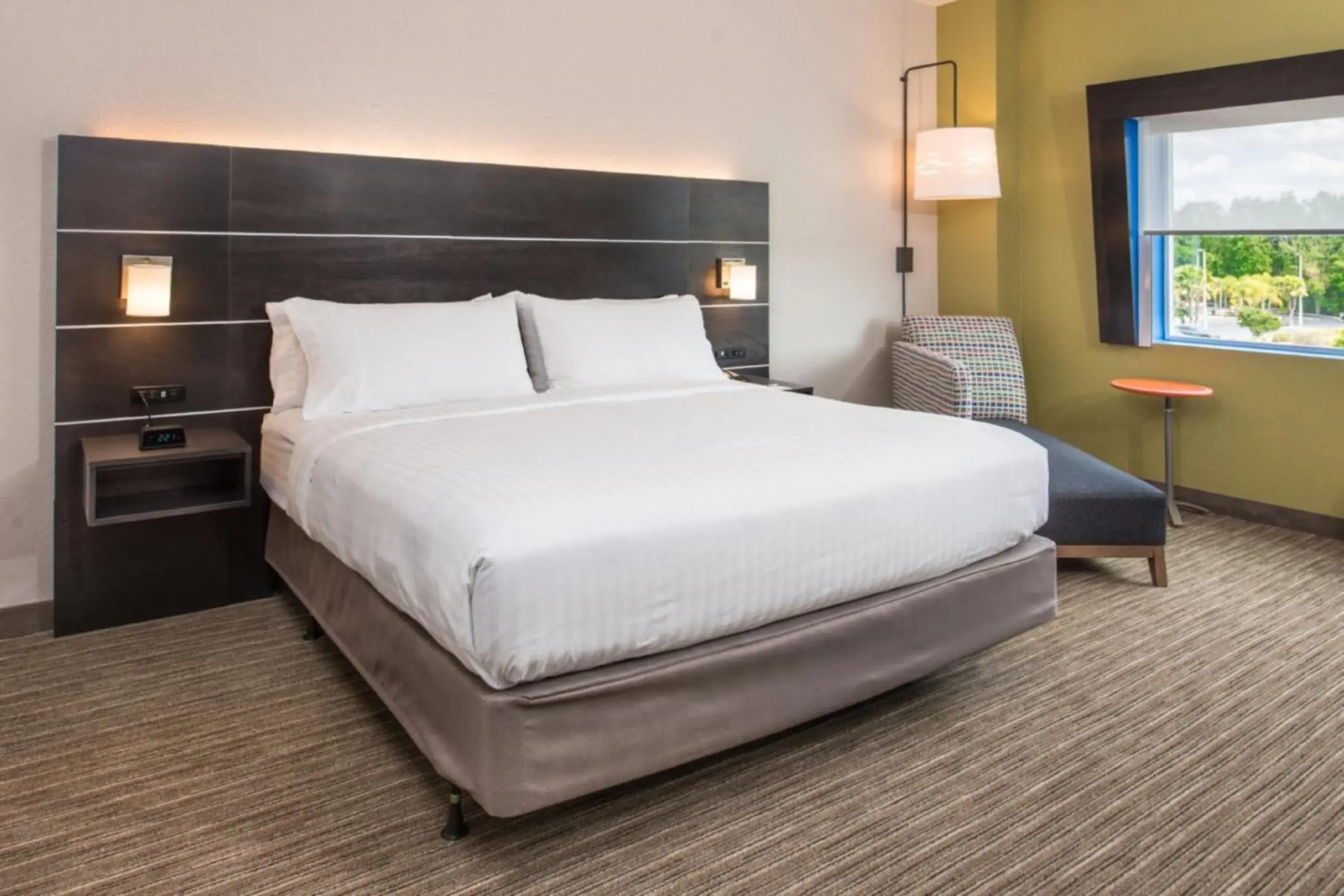 Standard King Room in Holiday Inn Express & Suites - Tampa North - Wesley Chapel by IHG Standard King Room in Holiday Inn Express & Suites - Tampa North - Wesley Chapel by IHG